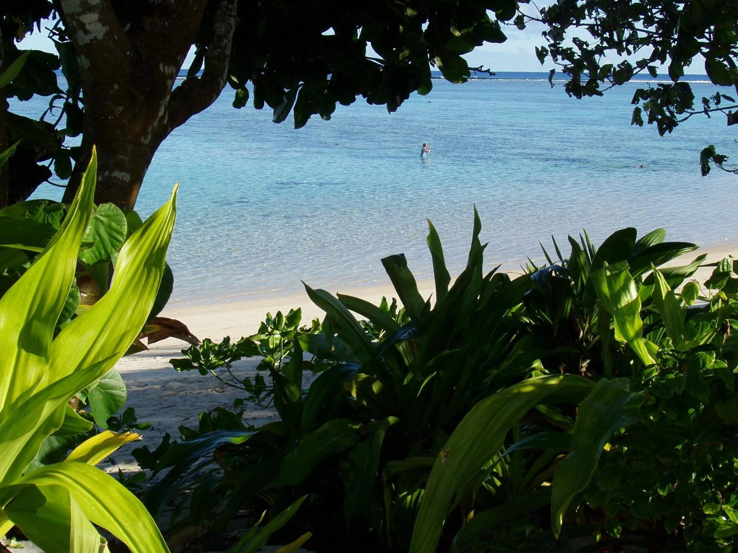 Beach in Palm Grove