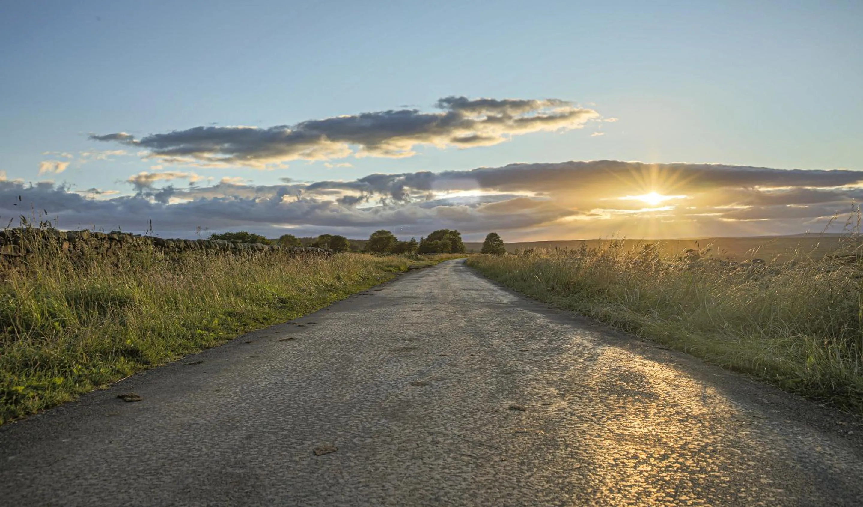 Natural landscape in Timble Inn