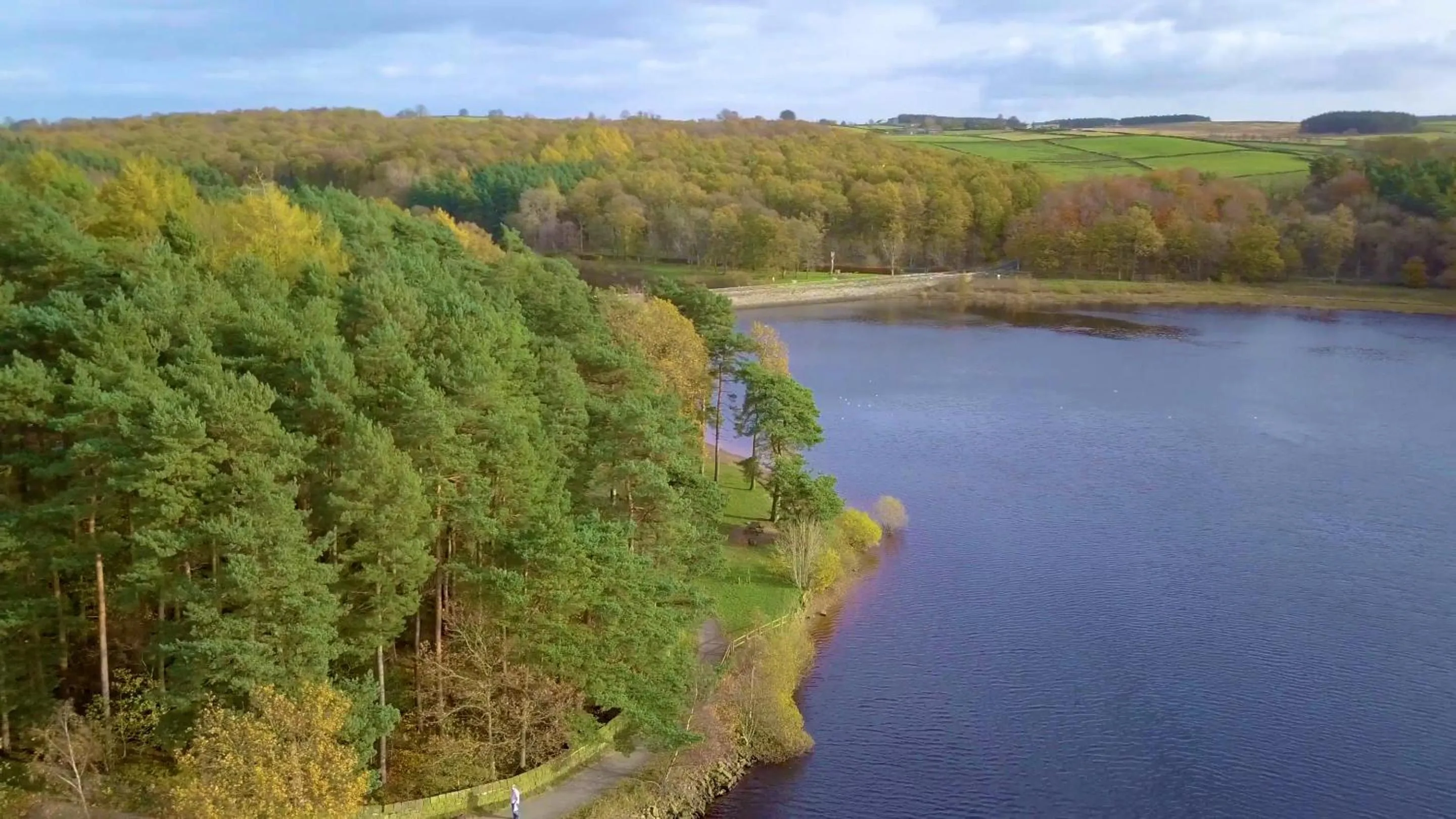 Natural landscape in Timble Inn