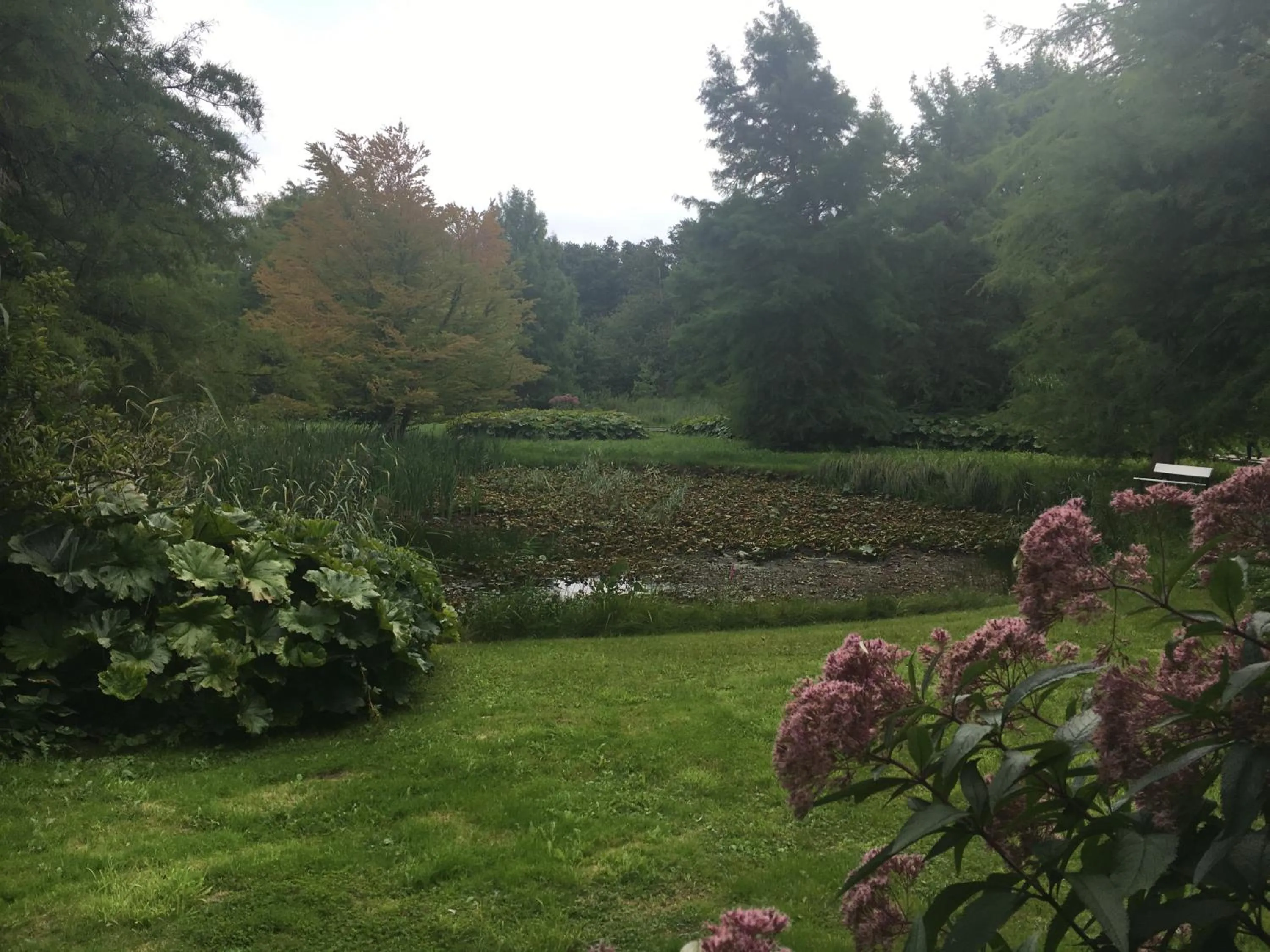 Townhuus No. 1 / Dieksee