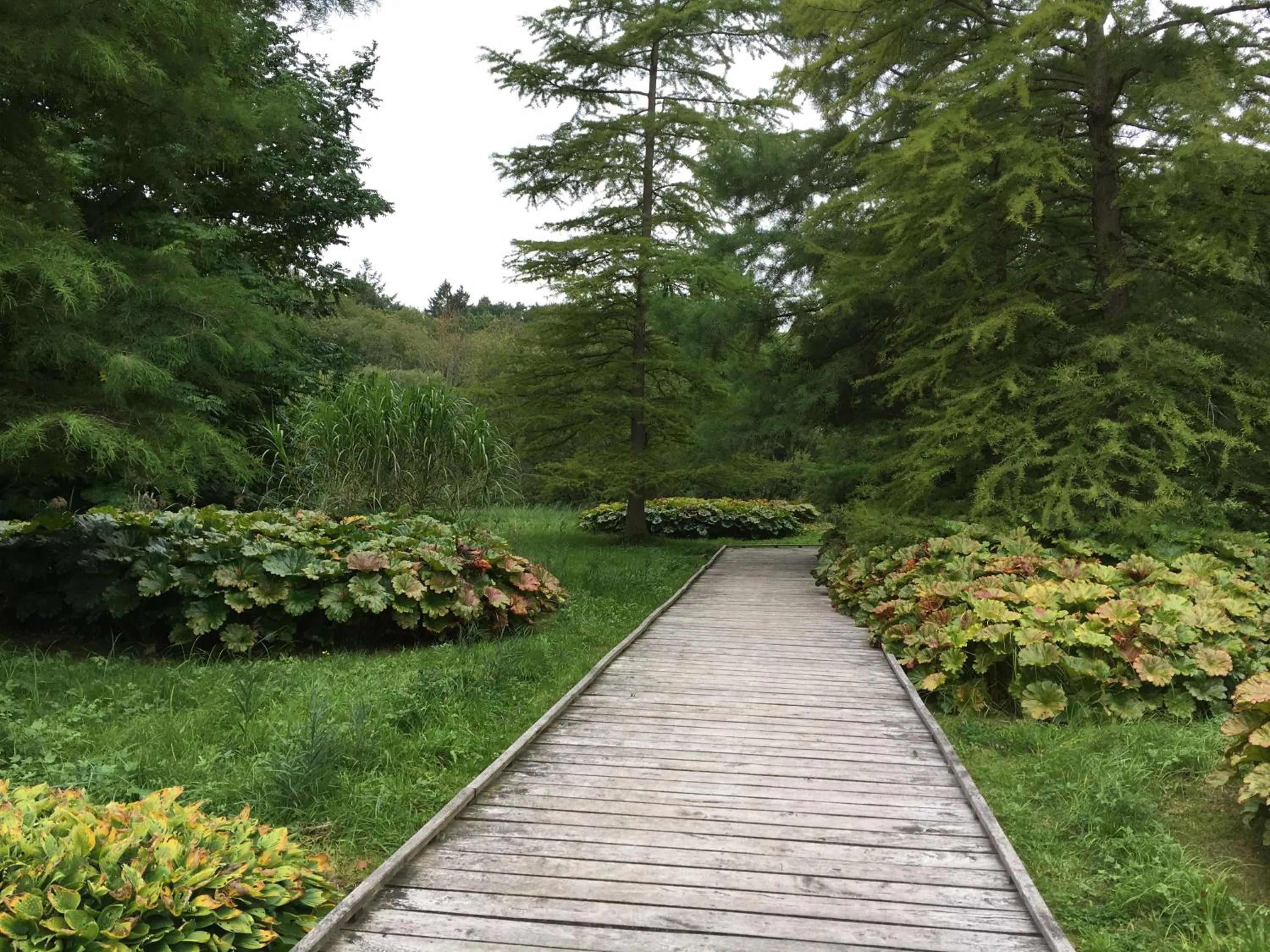 Townhuus No. 1 / Dieksee