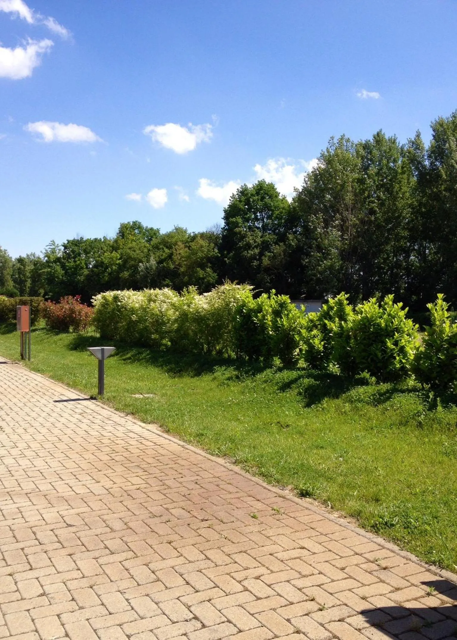 Day in Motel 7 Laghi