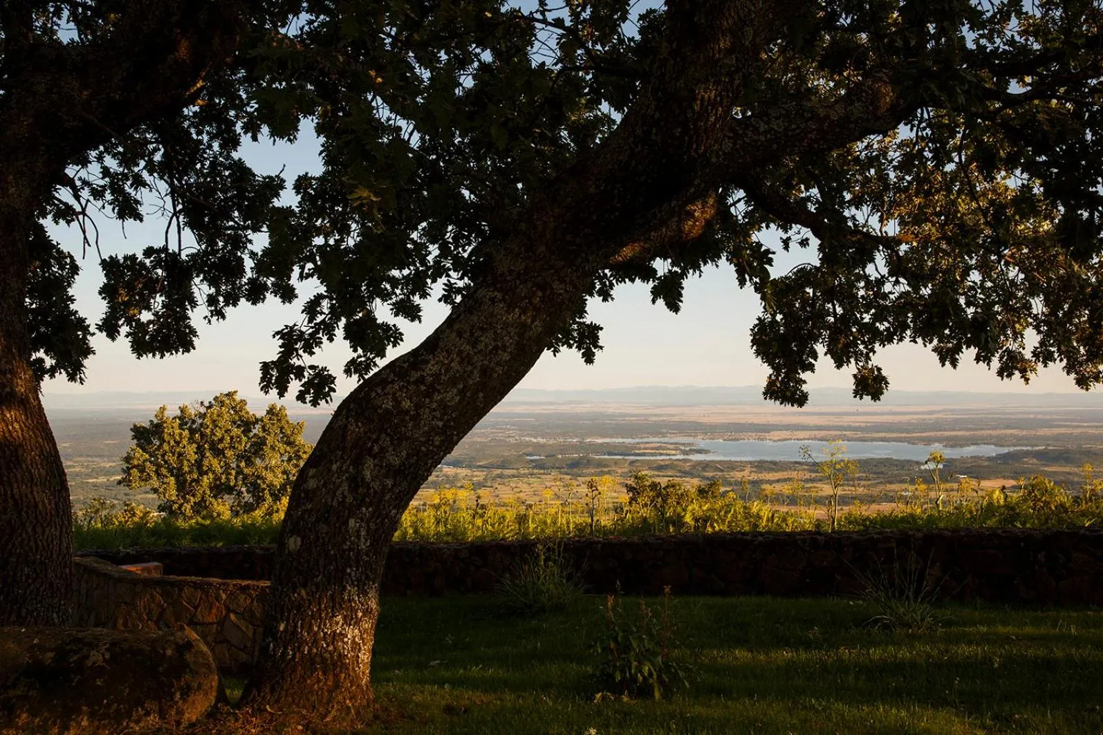 Natural landscape in Hotel Nabia