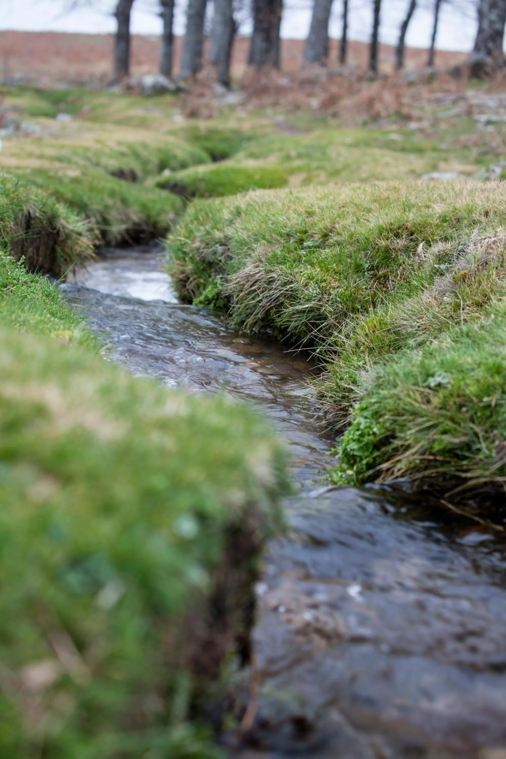 Natural landscape in Hotel Nabia