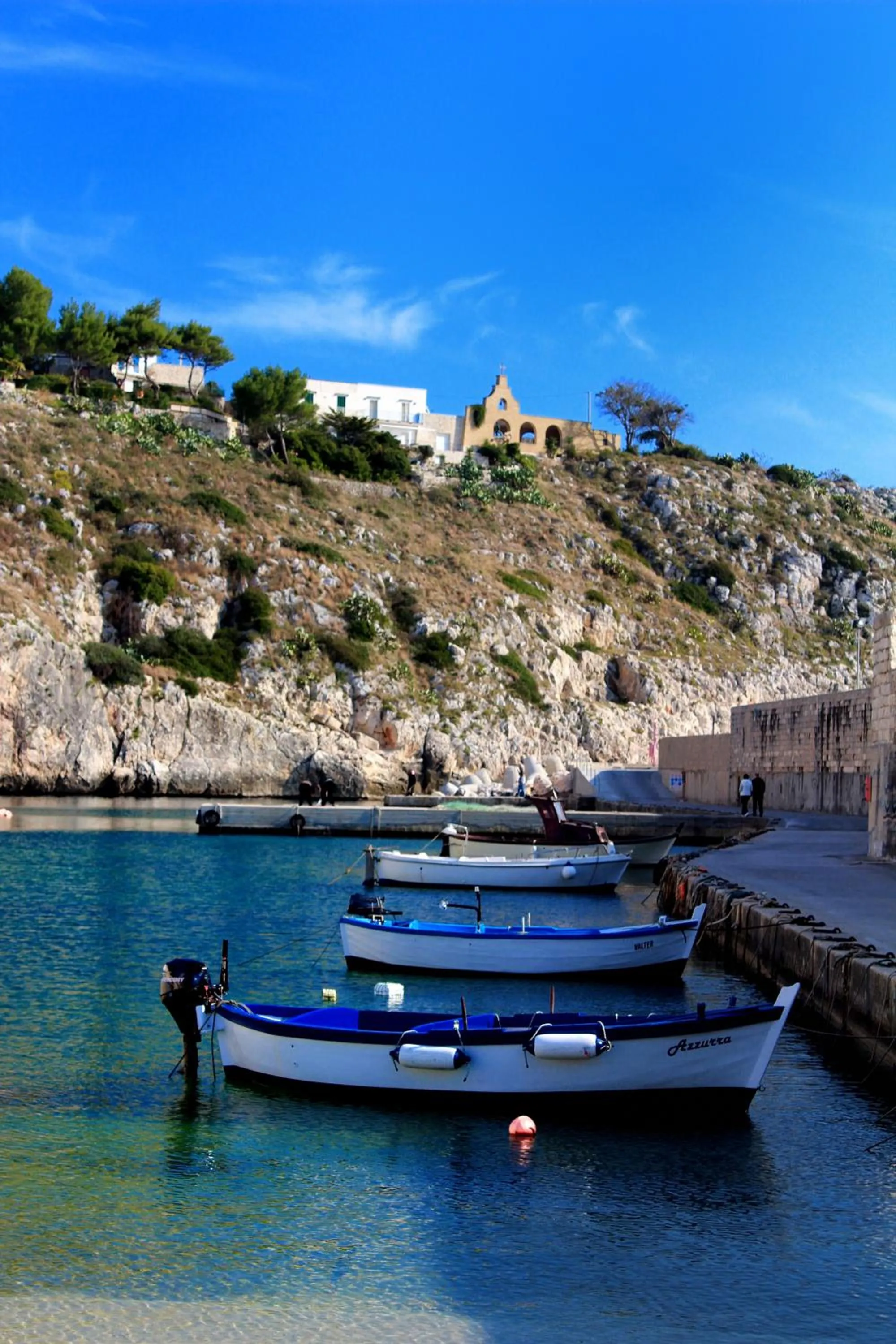 Natural landscape in Hotel Degli Ulivi