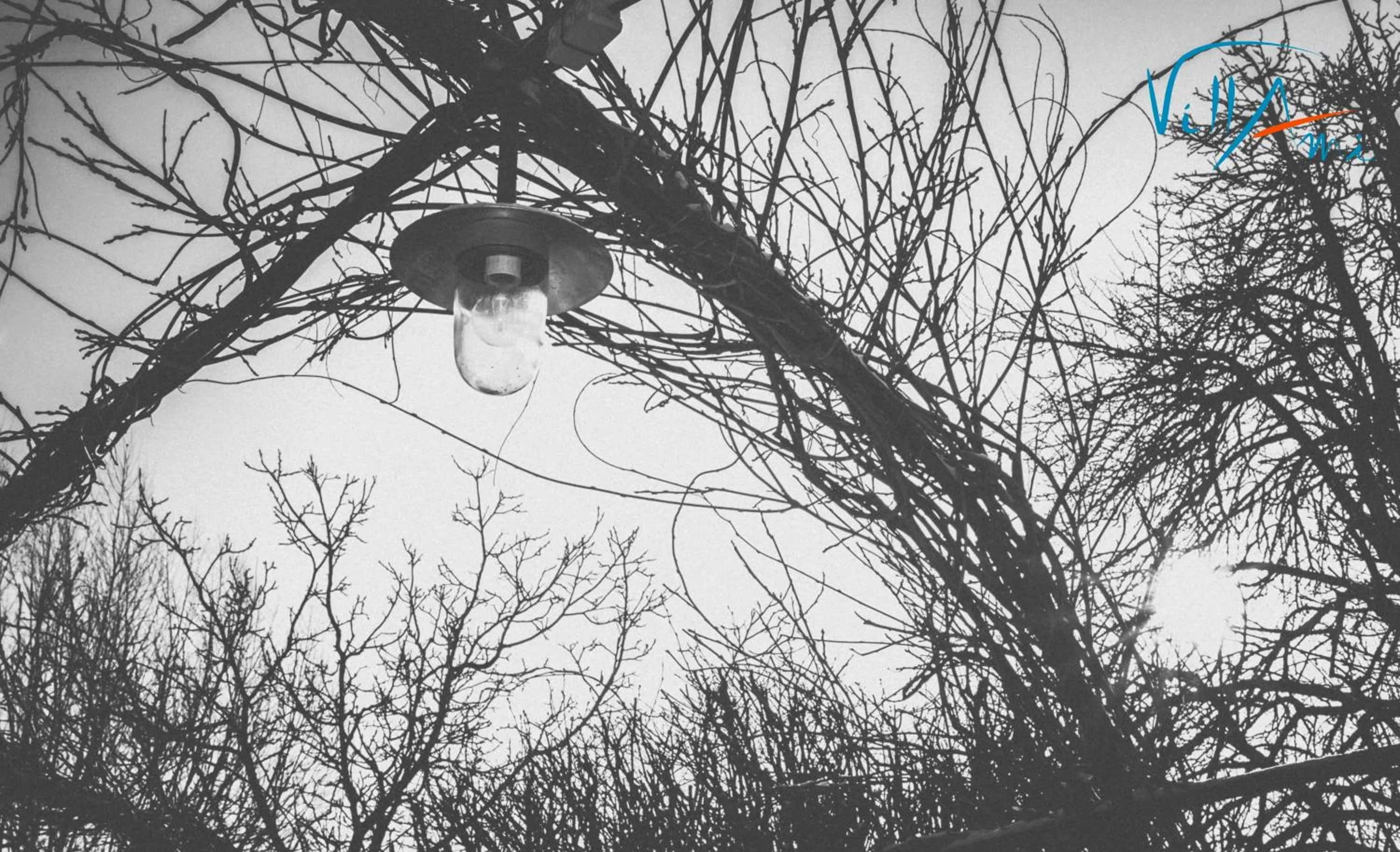 View (from property/room) in Villami