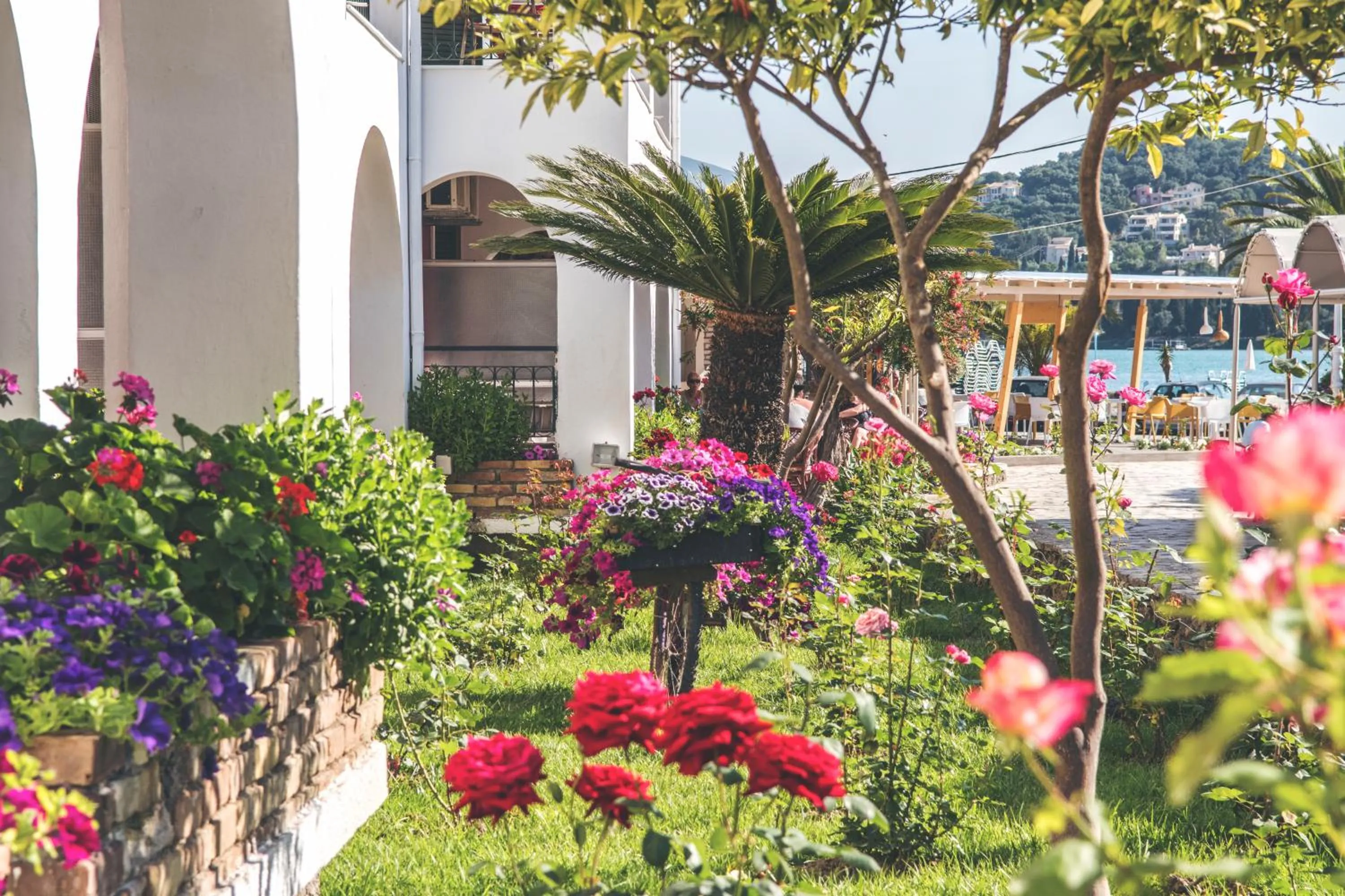 Garden in Iliada Beach Hotel