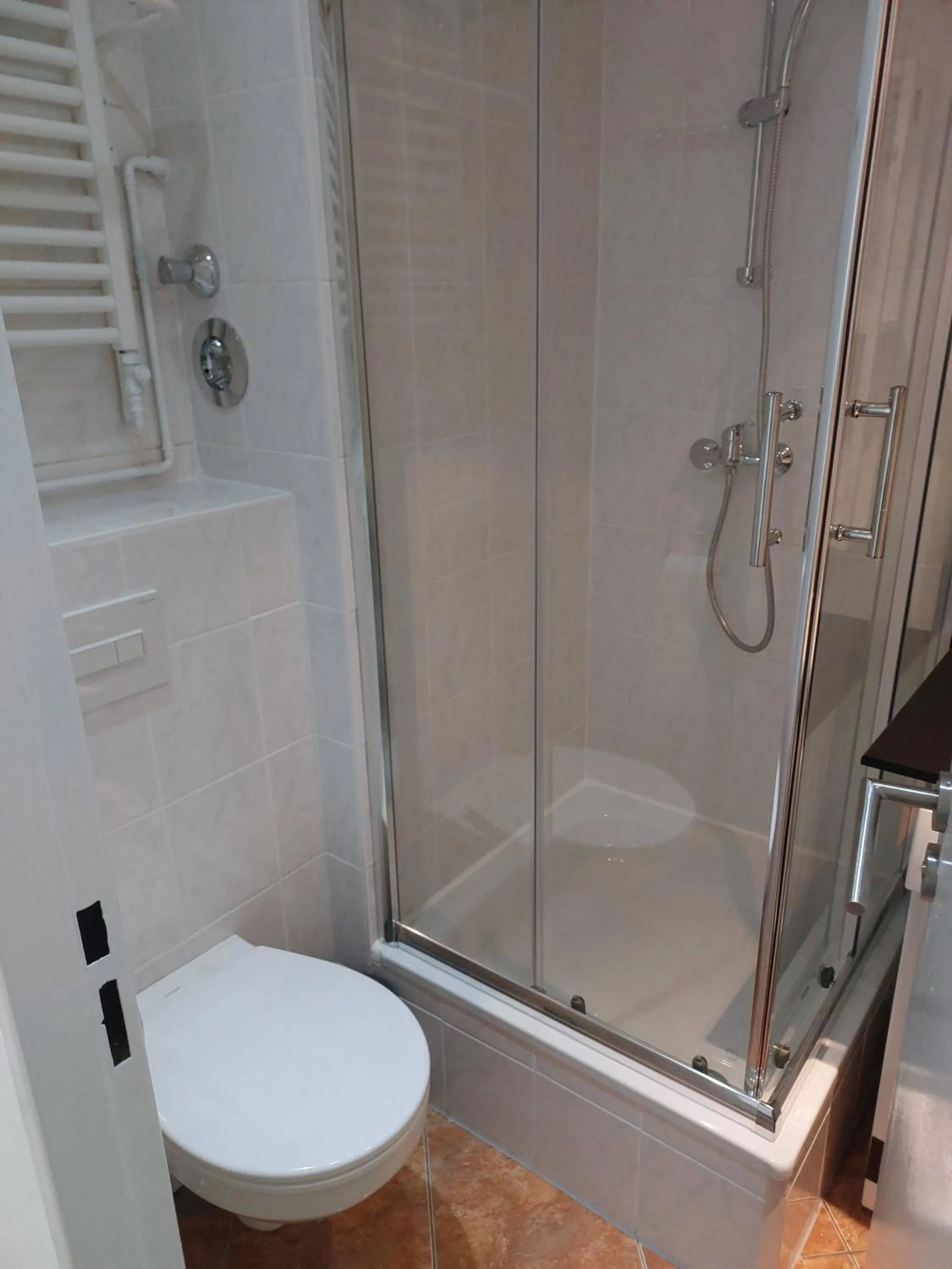 Shower in Apartment Fancy