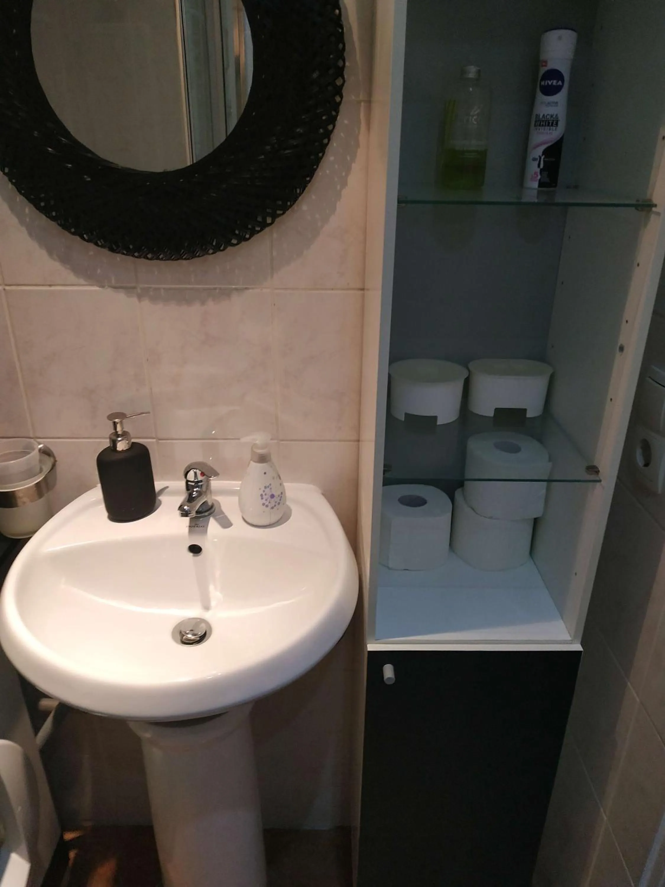 Toilet in Apartment Fancy
