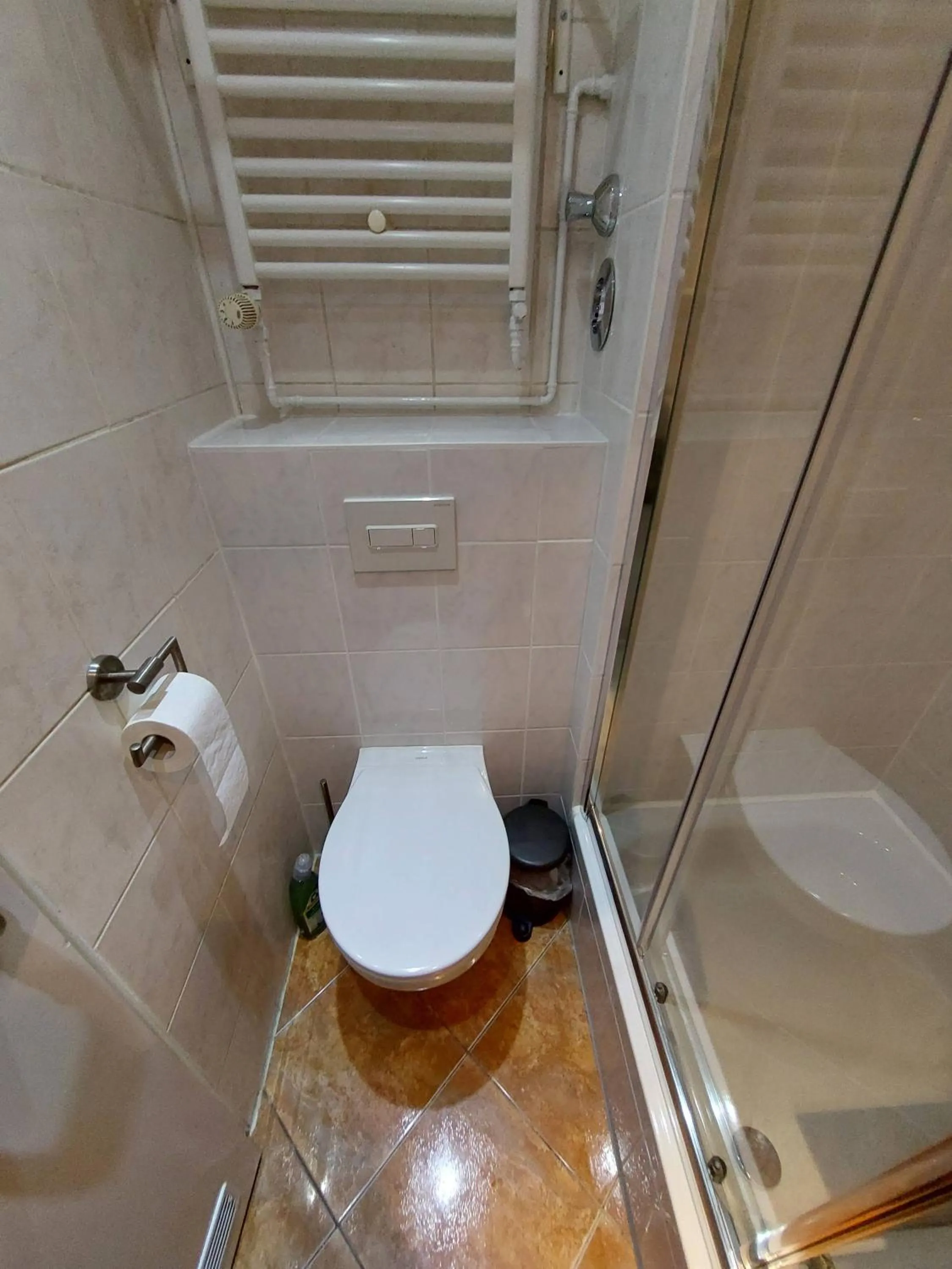 Shower in Apartment Fancy