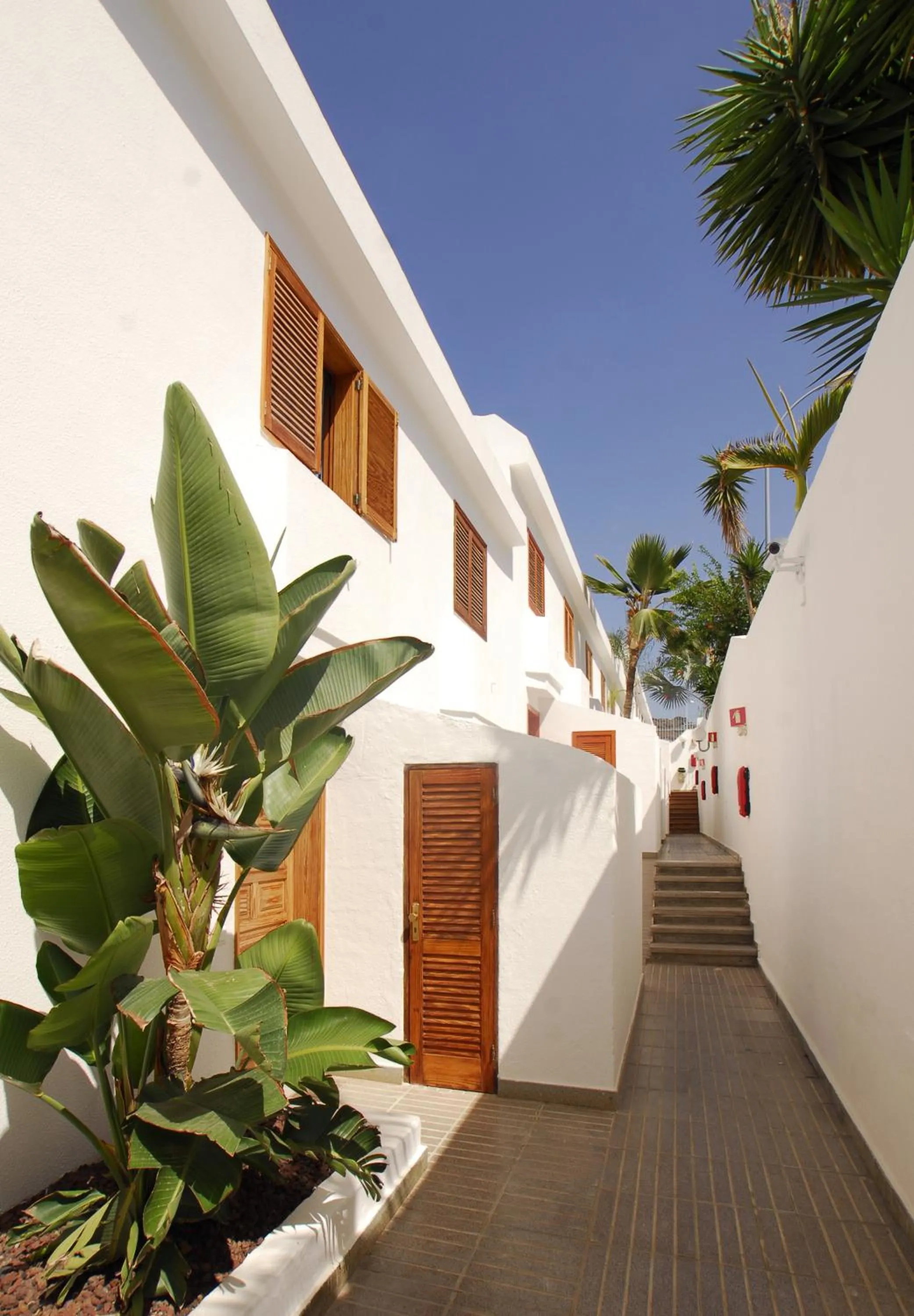 On site in Apartamentos Montecarlo