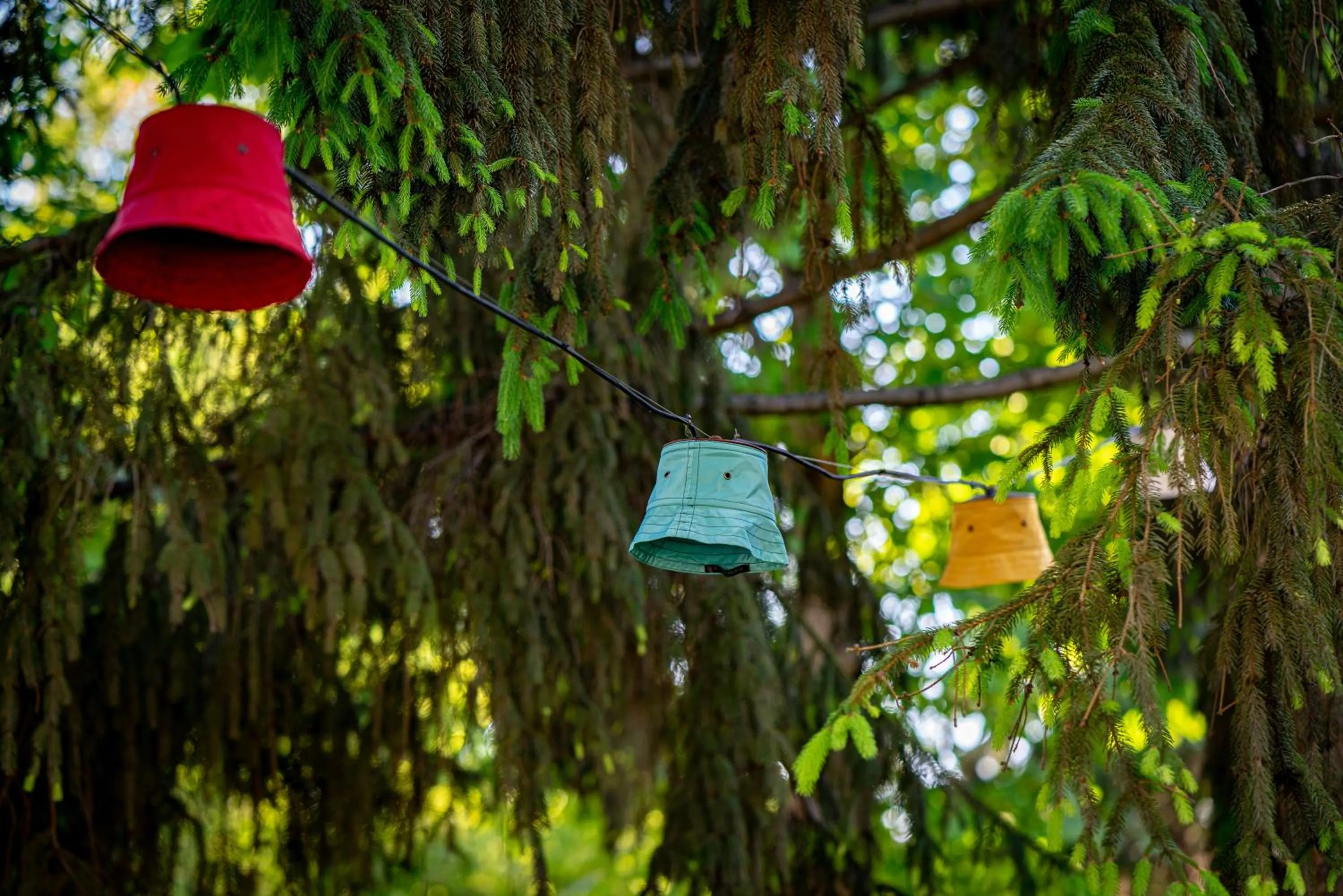 Garden in Hotel Corina