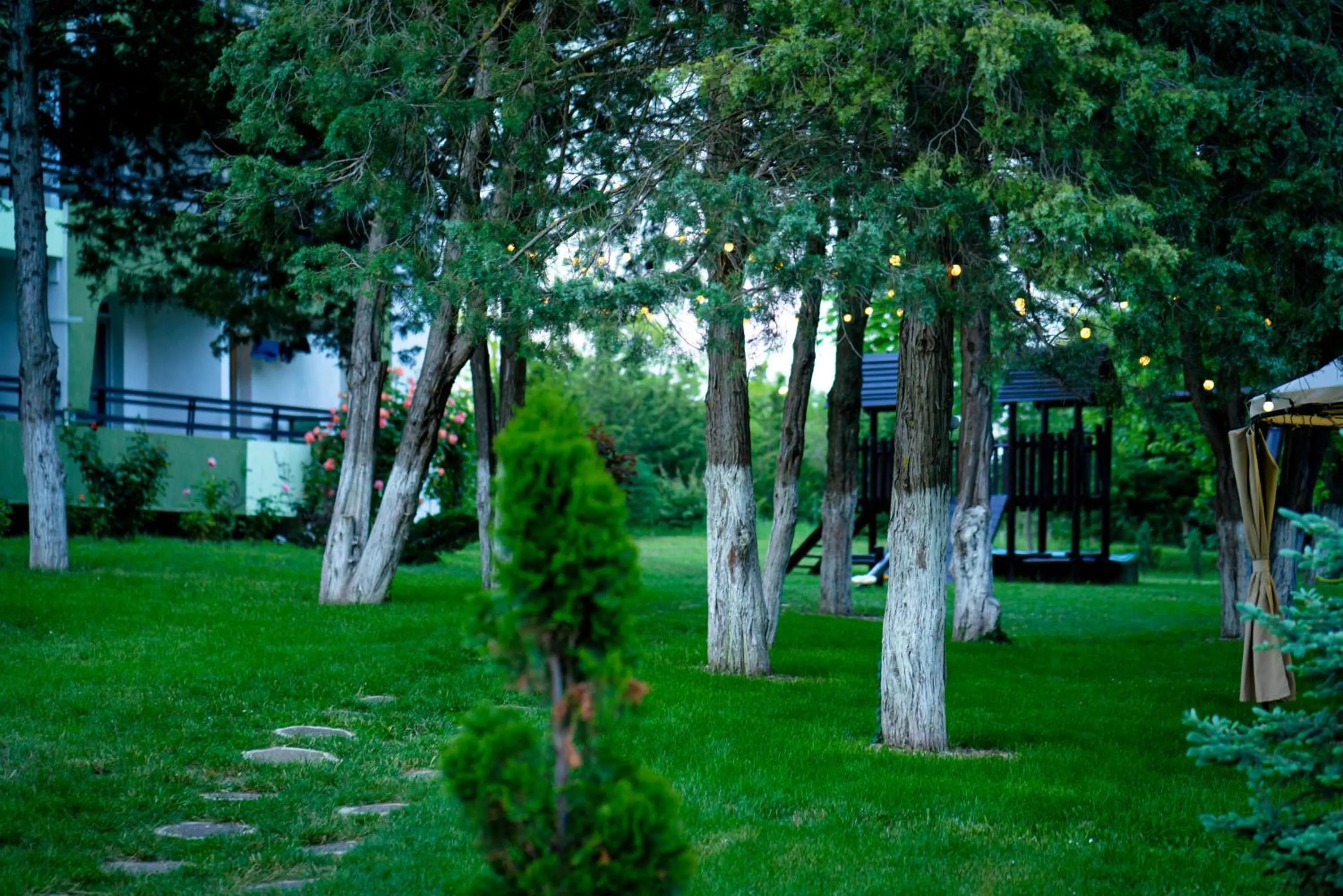 Garden in Hotel Corina
