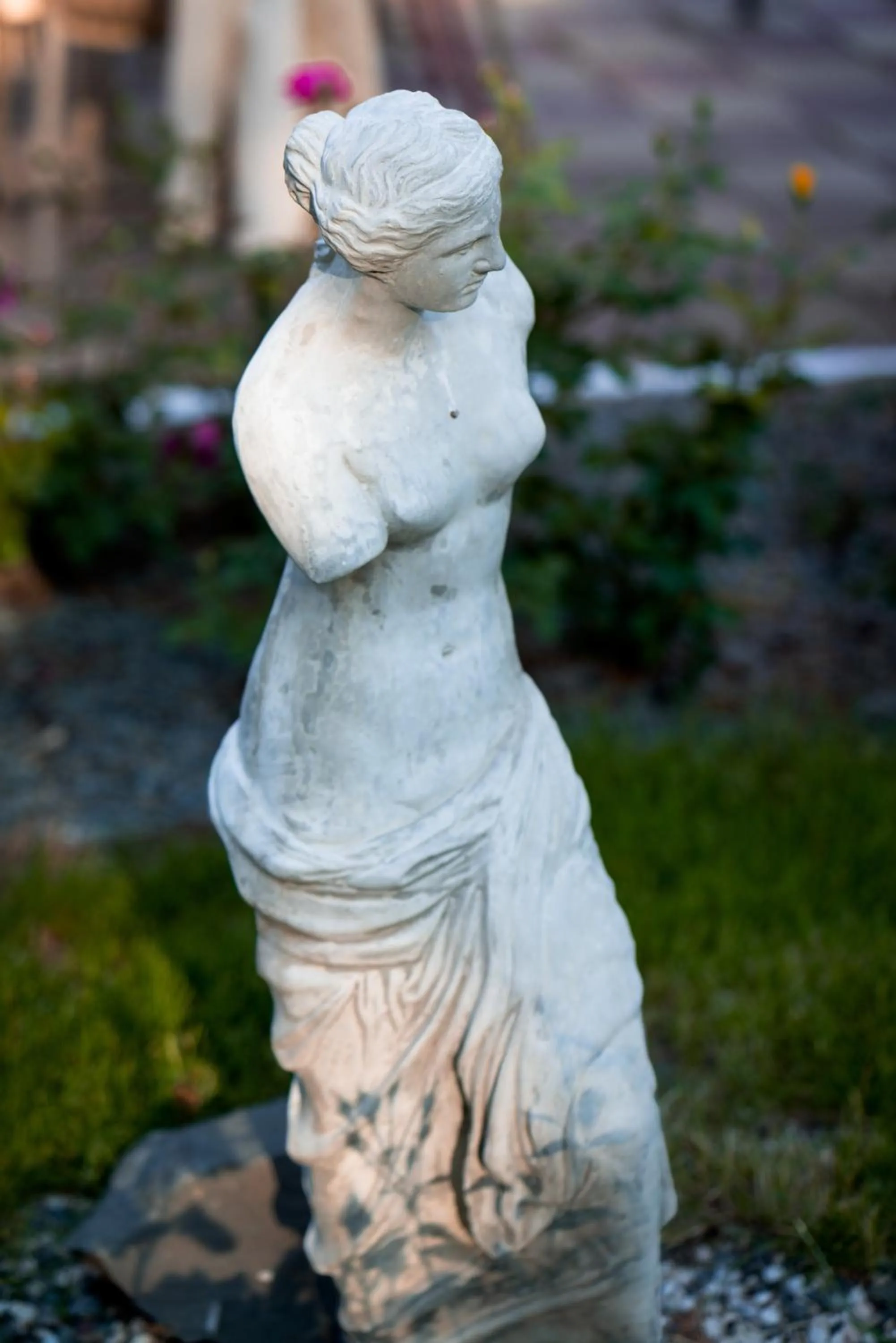 Garden in Hotel Corina