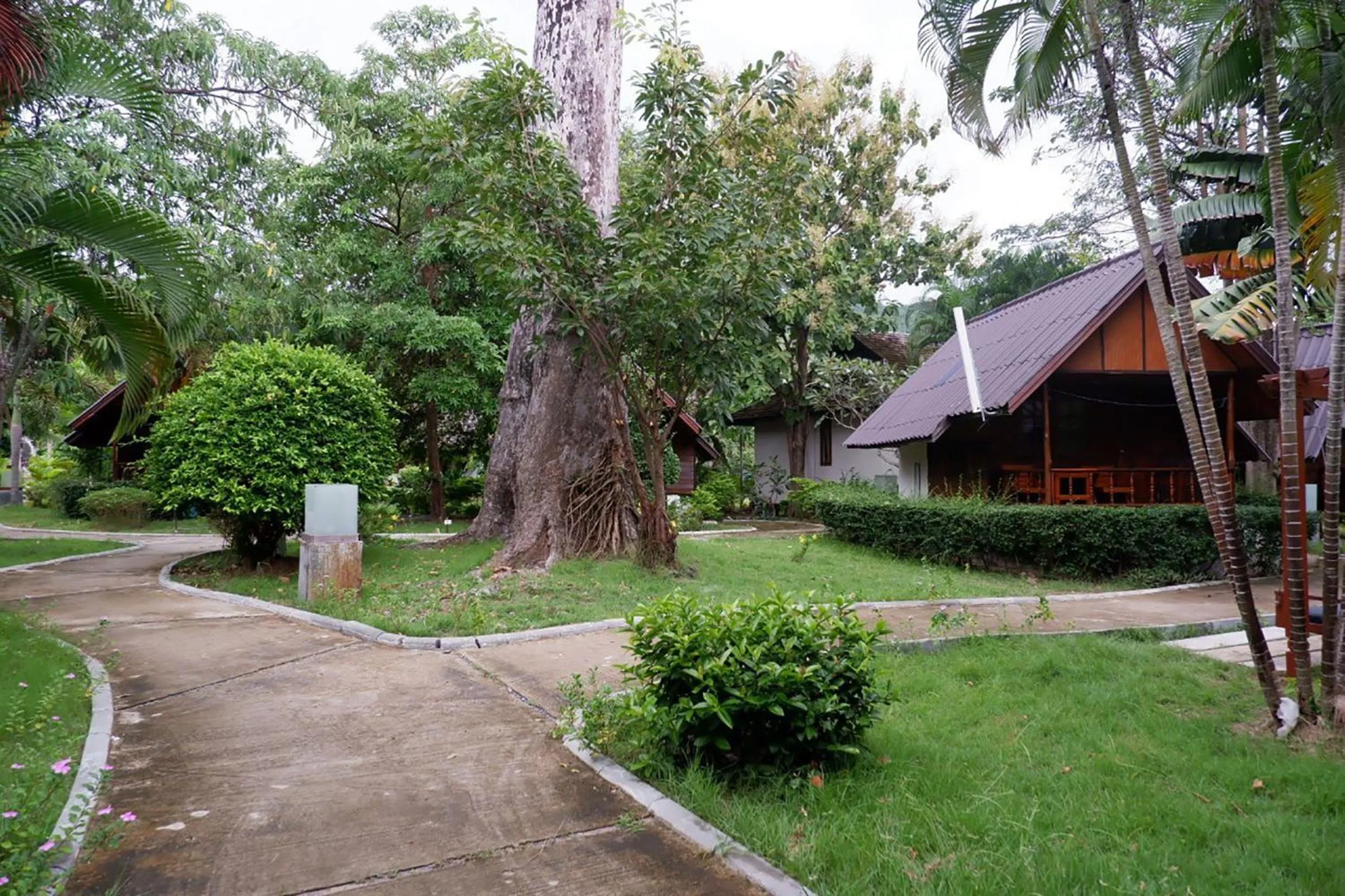 Garden in Seashell Resort Koh Tao-SHA Plus