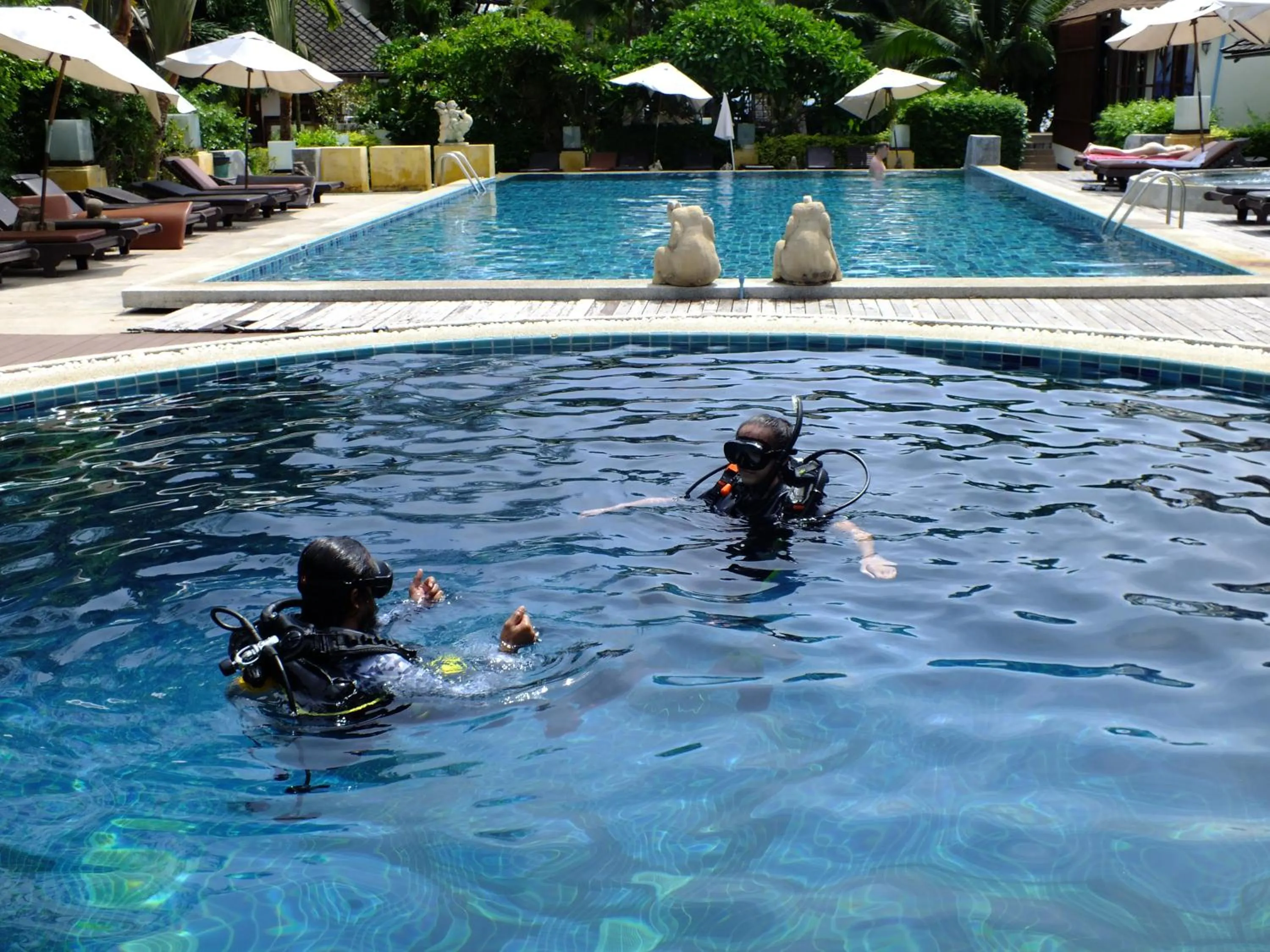 Diving in Seashell Resort Koh Tao-SHA Plus