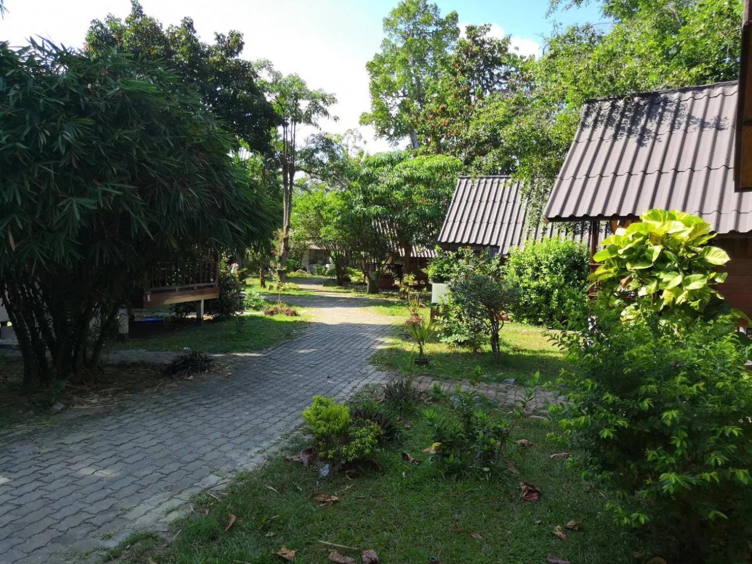 Garden in Seashell Resort Koh Tao-SHA Plus