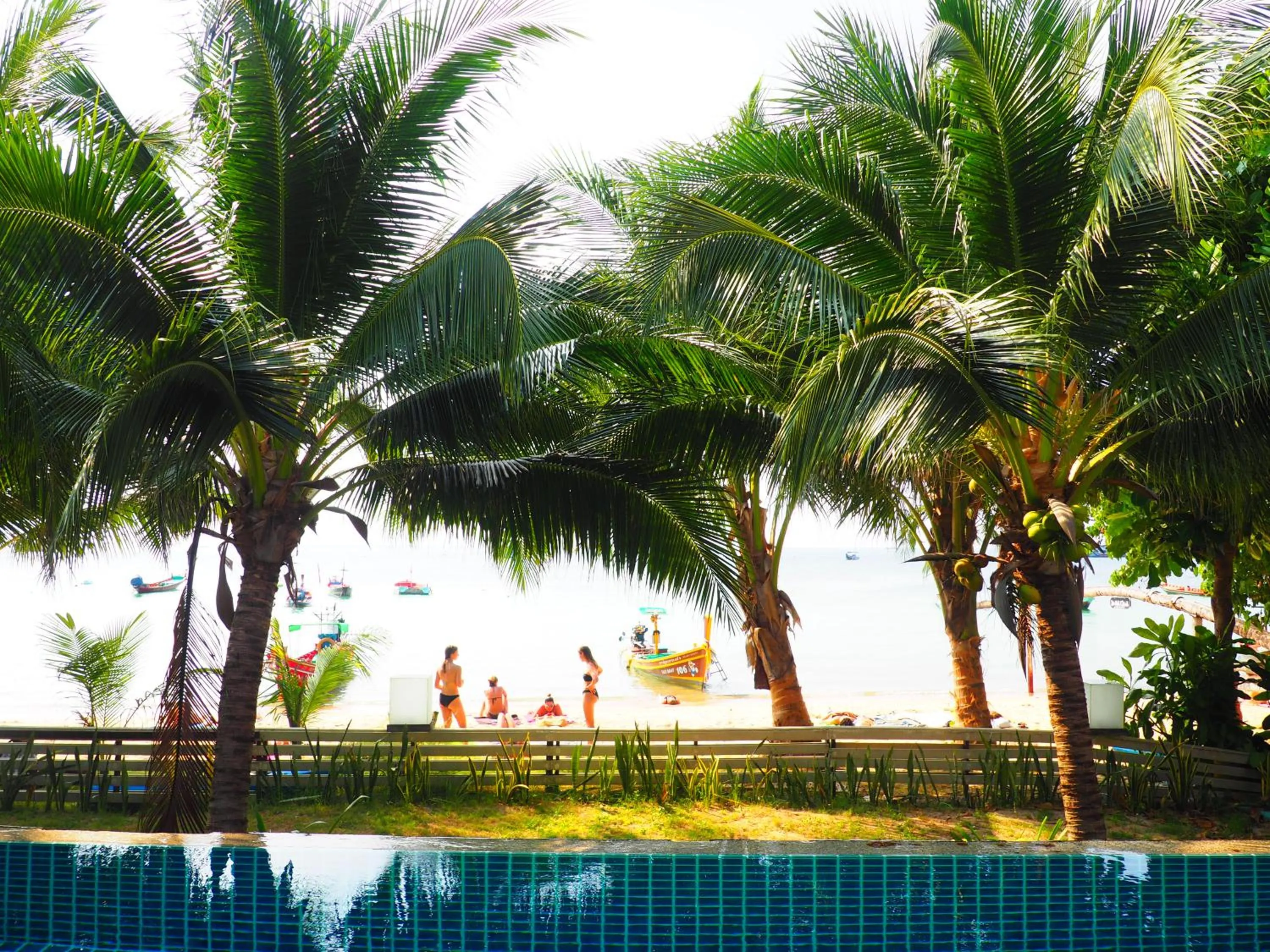 Natural landscape in Seashell Resort Koh Tao-SHA Plus