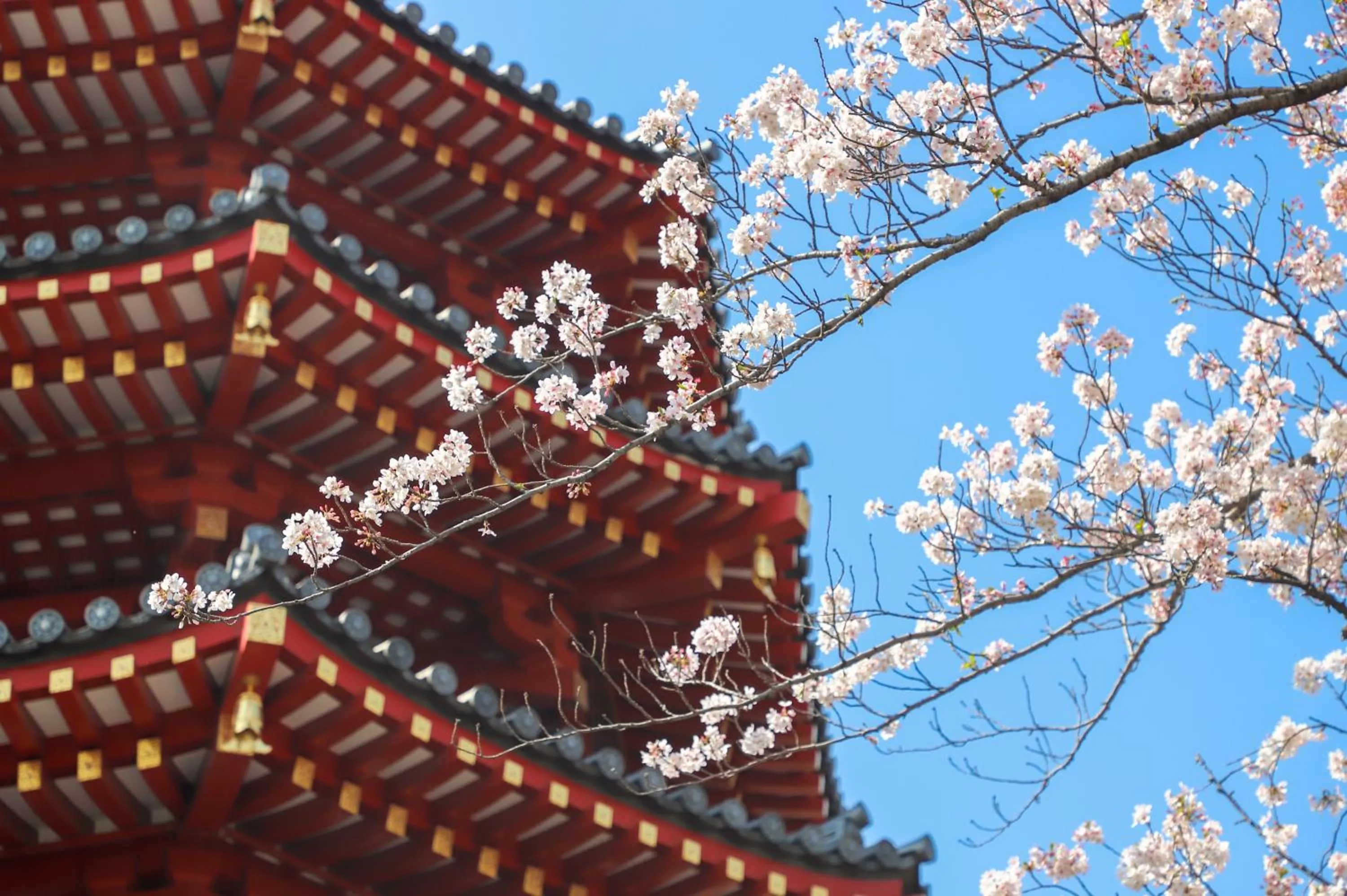 Nearby landmark in Kawasaki King Skyfront Tokyu REI Hotel