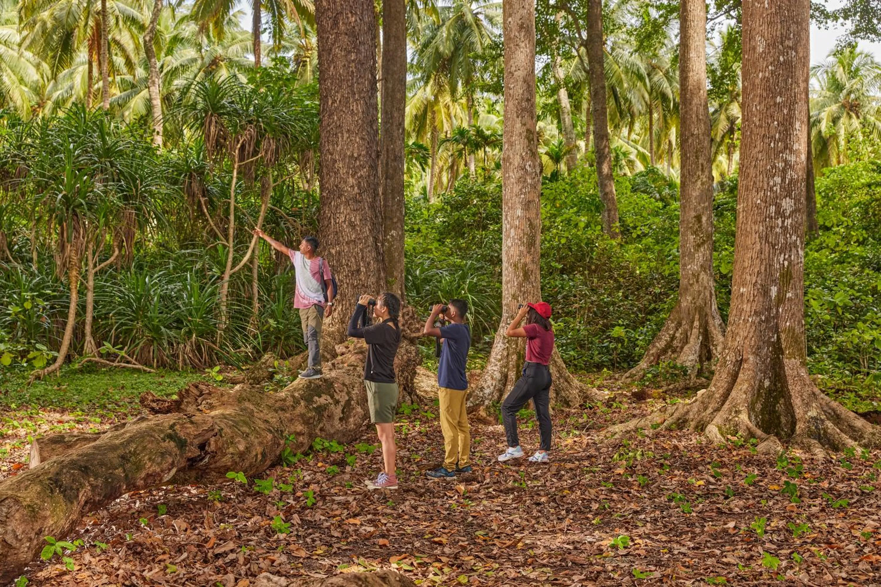 Natural landscape in Taj Exotica Resort & Spa, Andamans