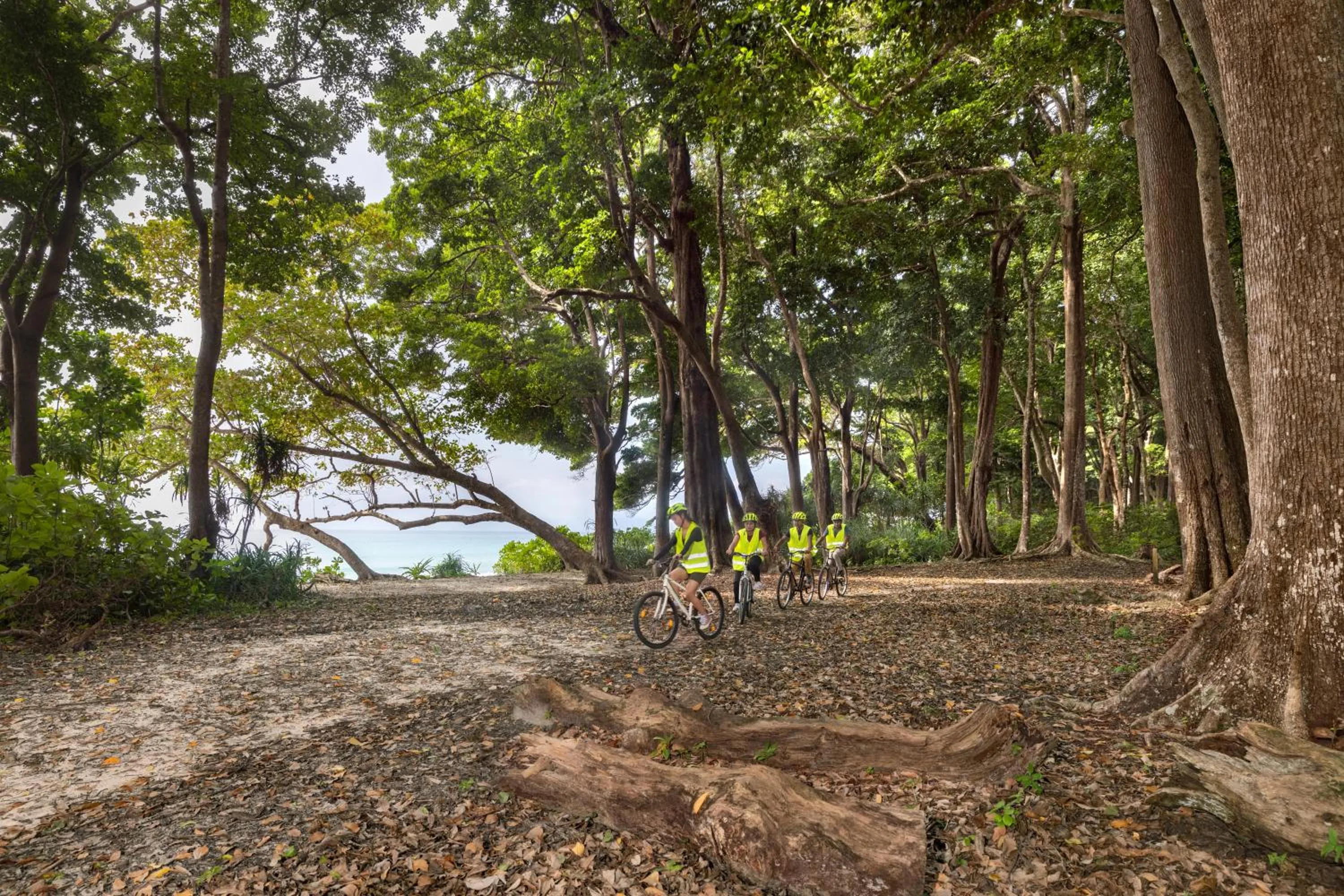Activities in Taj Exotica Resort & Spa, Andamans