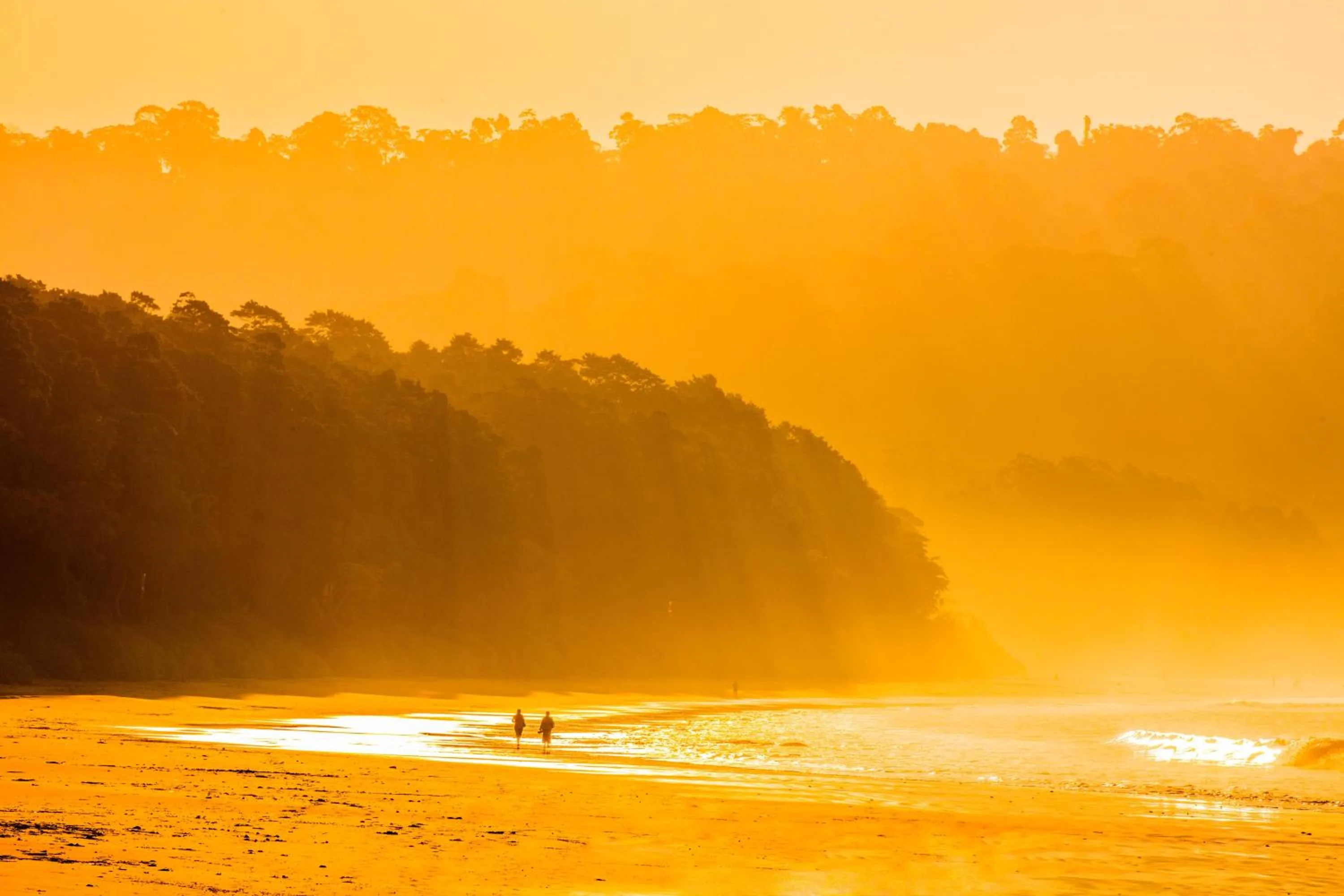 Natural landscape in Taj Exotica Resort & Spa, Andamans