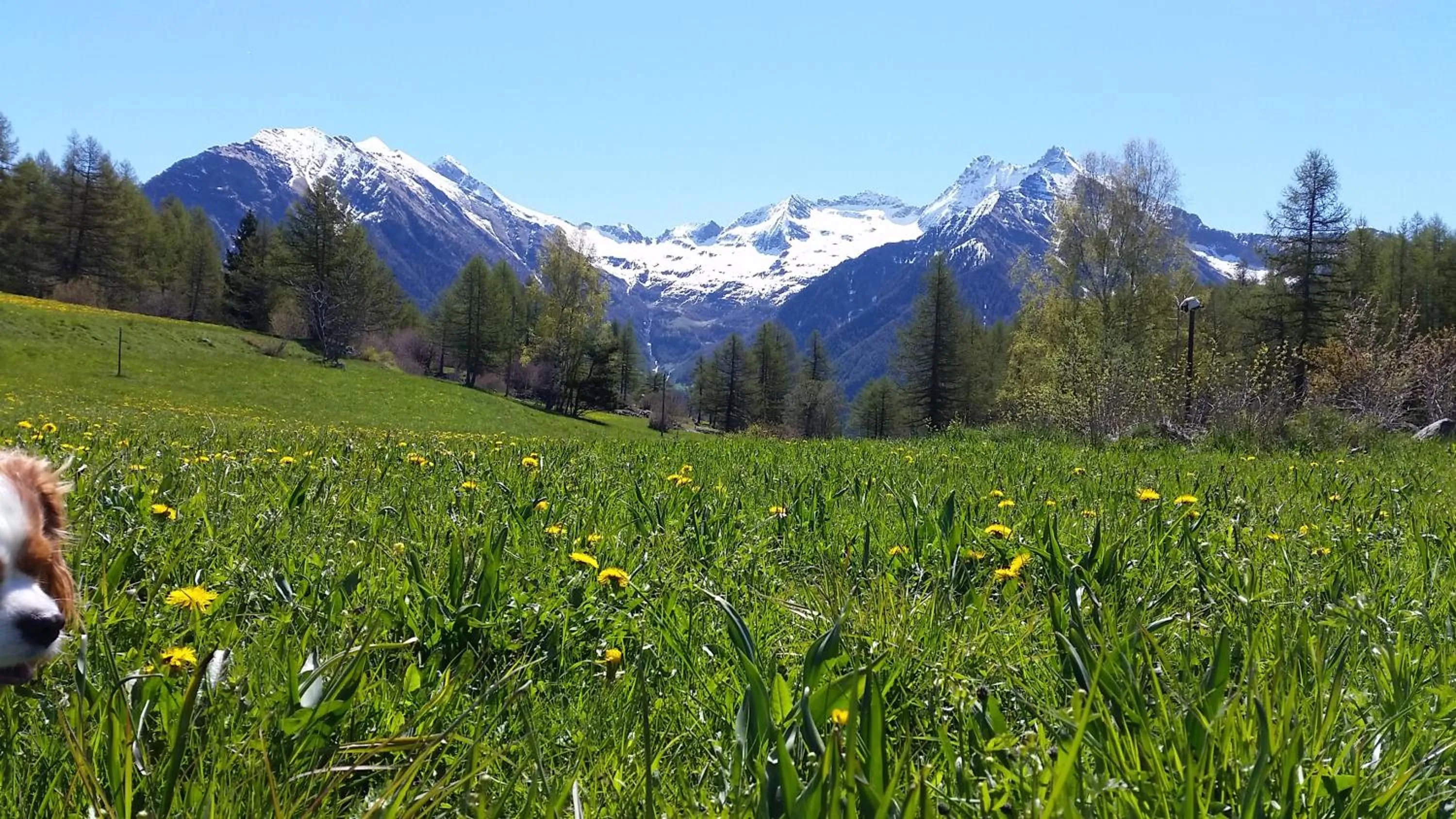View (from property/room) in Eco Chalet Maison Dominique