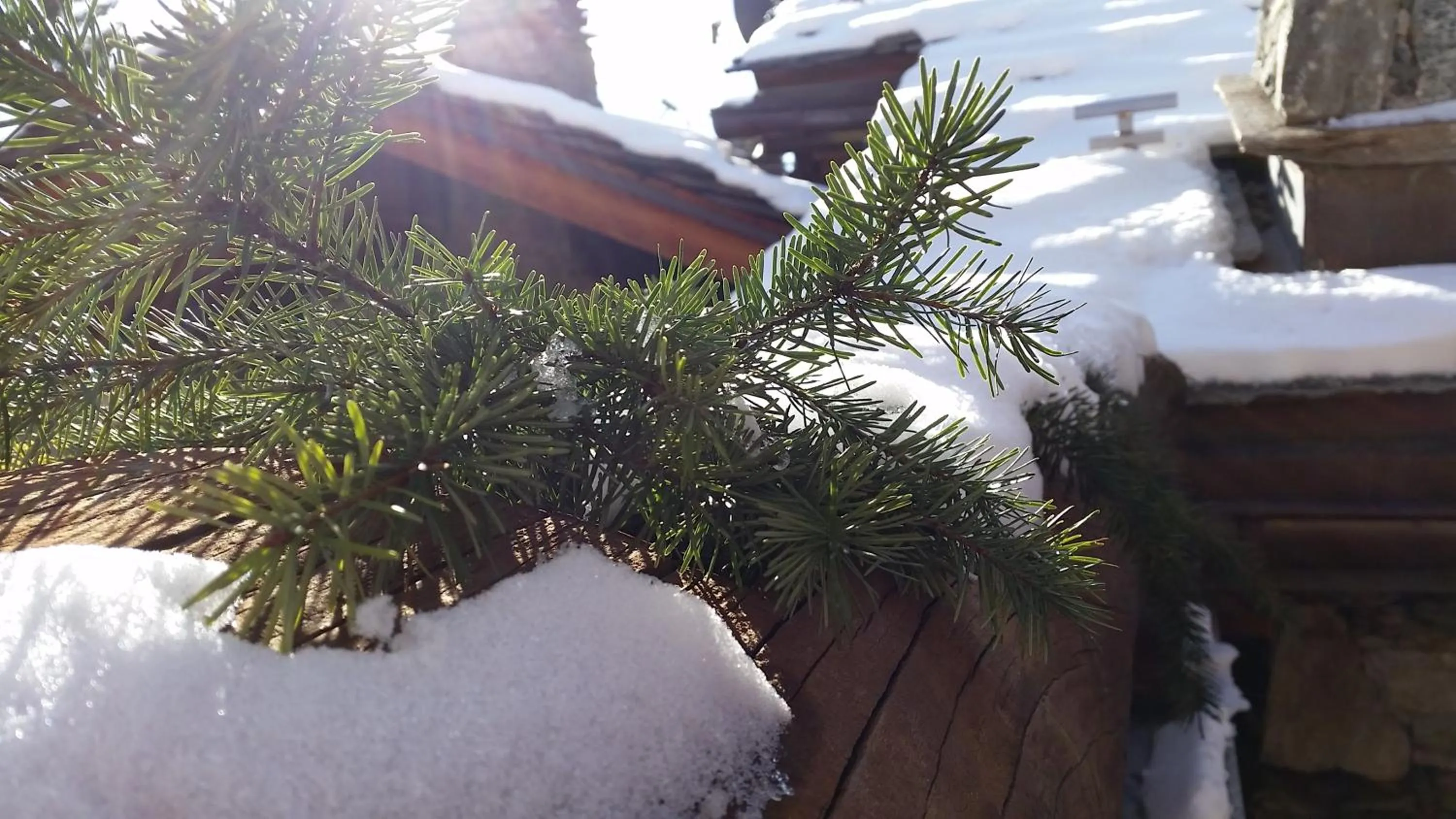 Balcony/Terrace in Eco Chalet Maison Dominique