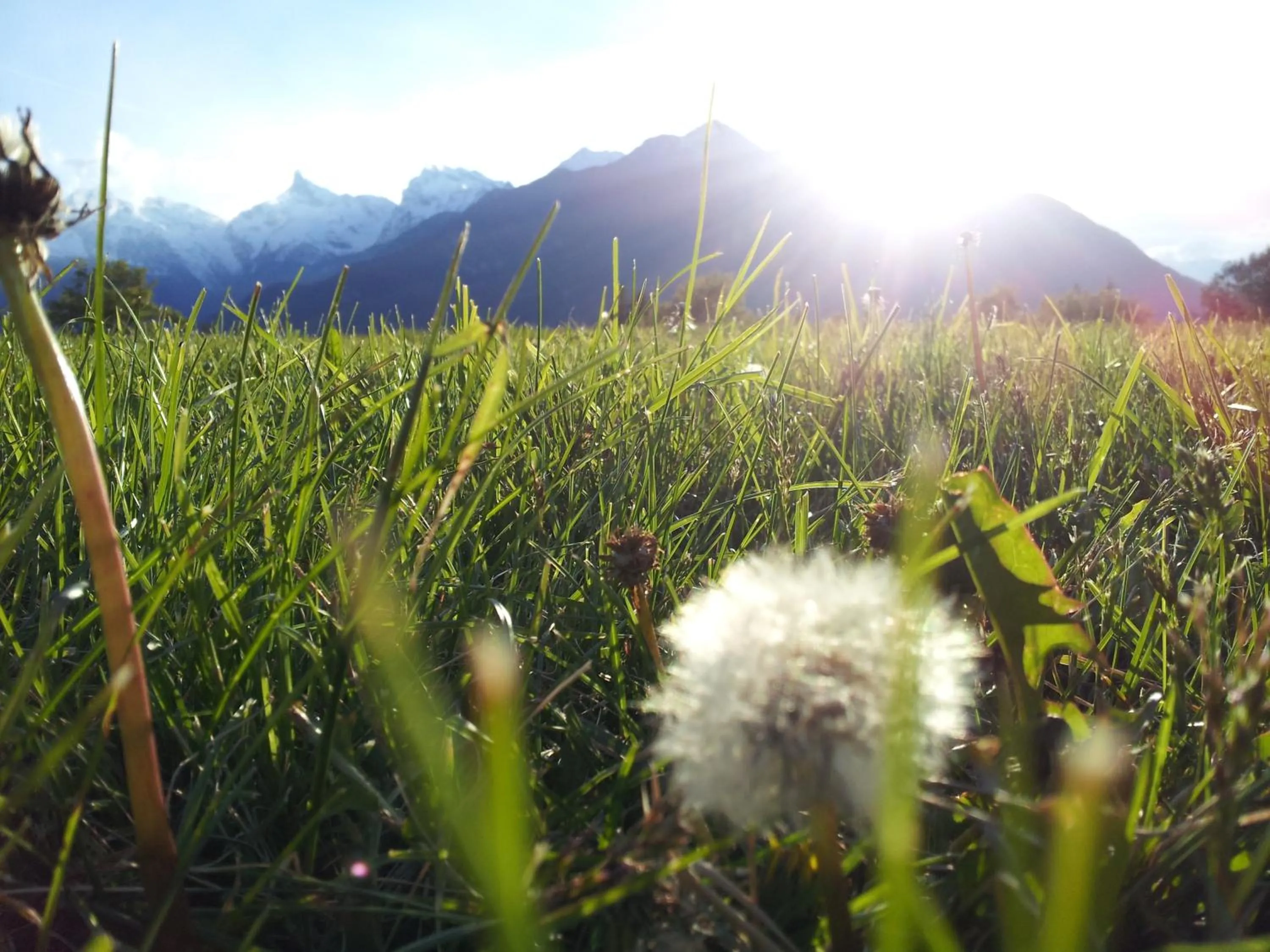Area and facilities in Eco Chalet Maison Dominique