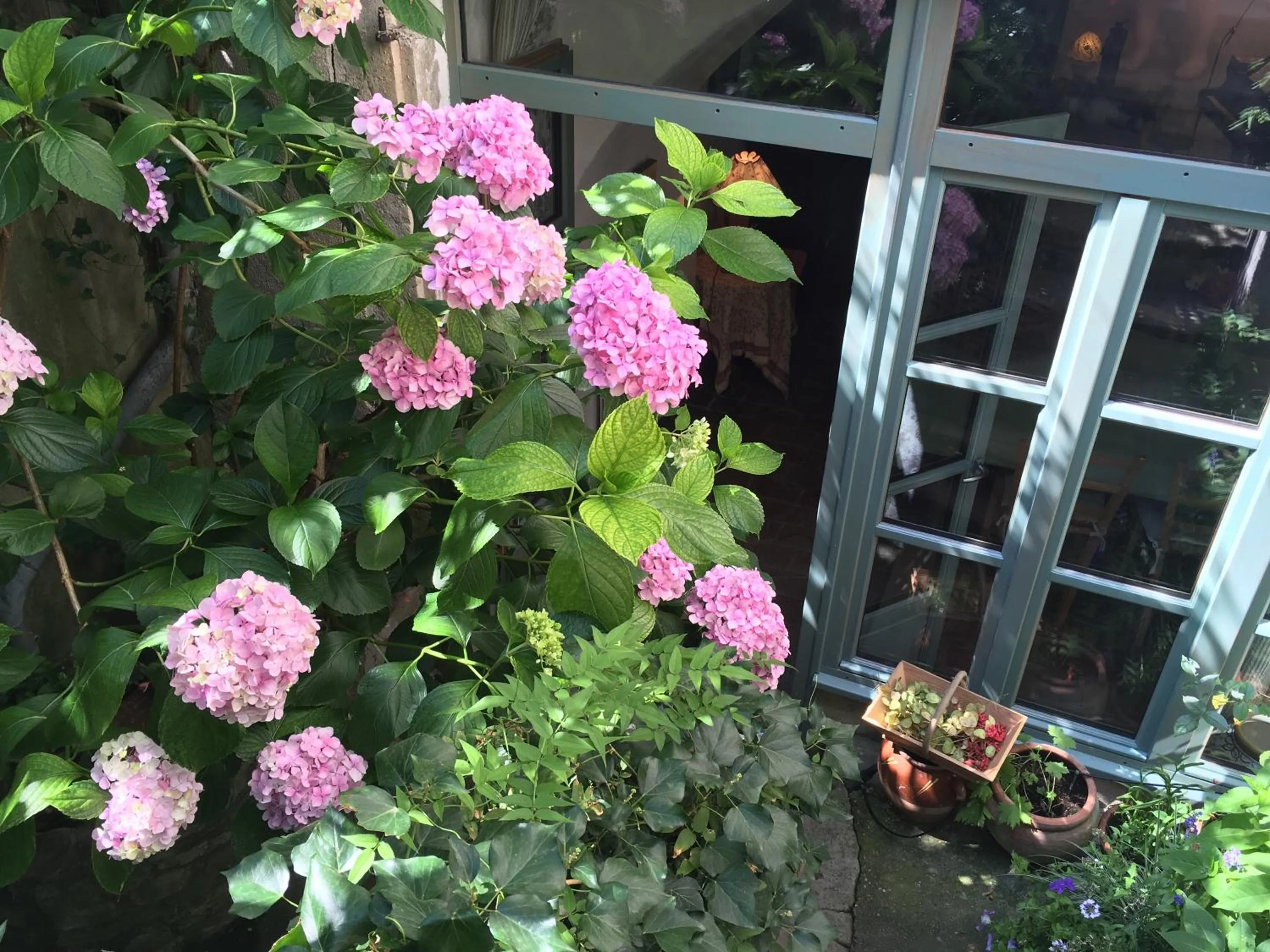 Patio in Les Asphodèles Amélie