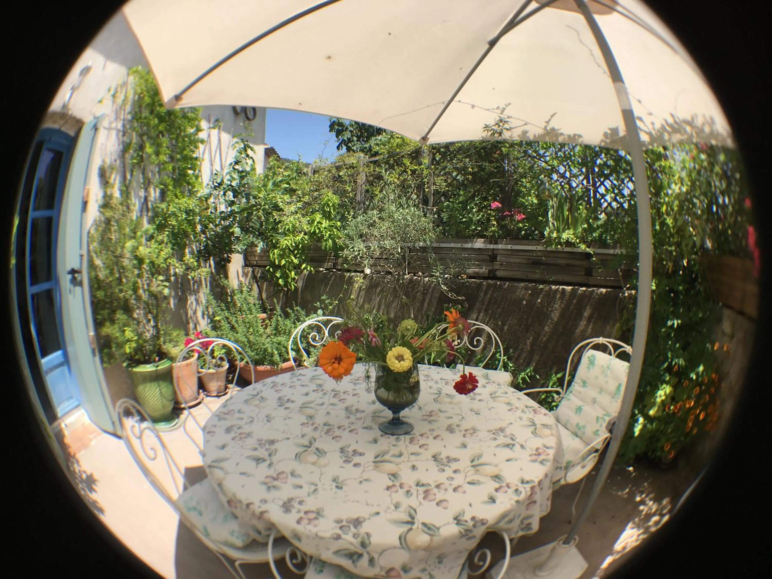 Patio in Les Asphodèles Amélie