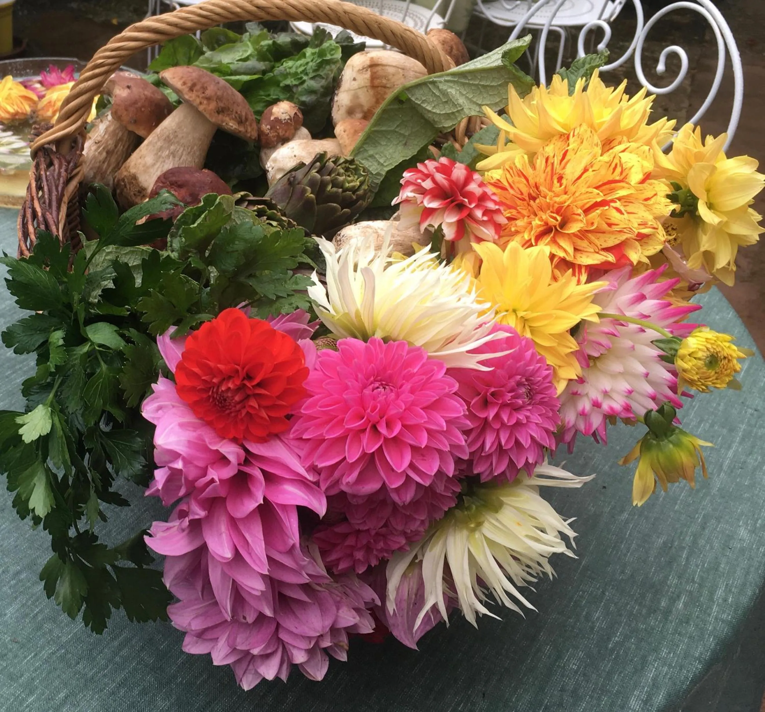 People in Les Asphodèles Amélie