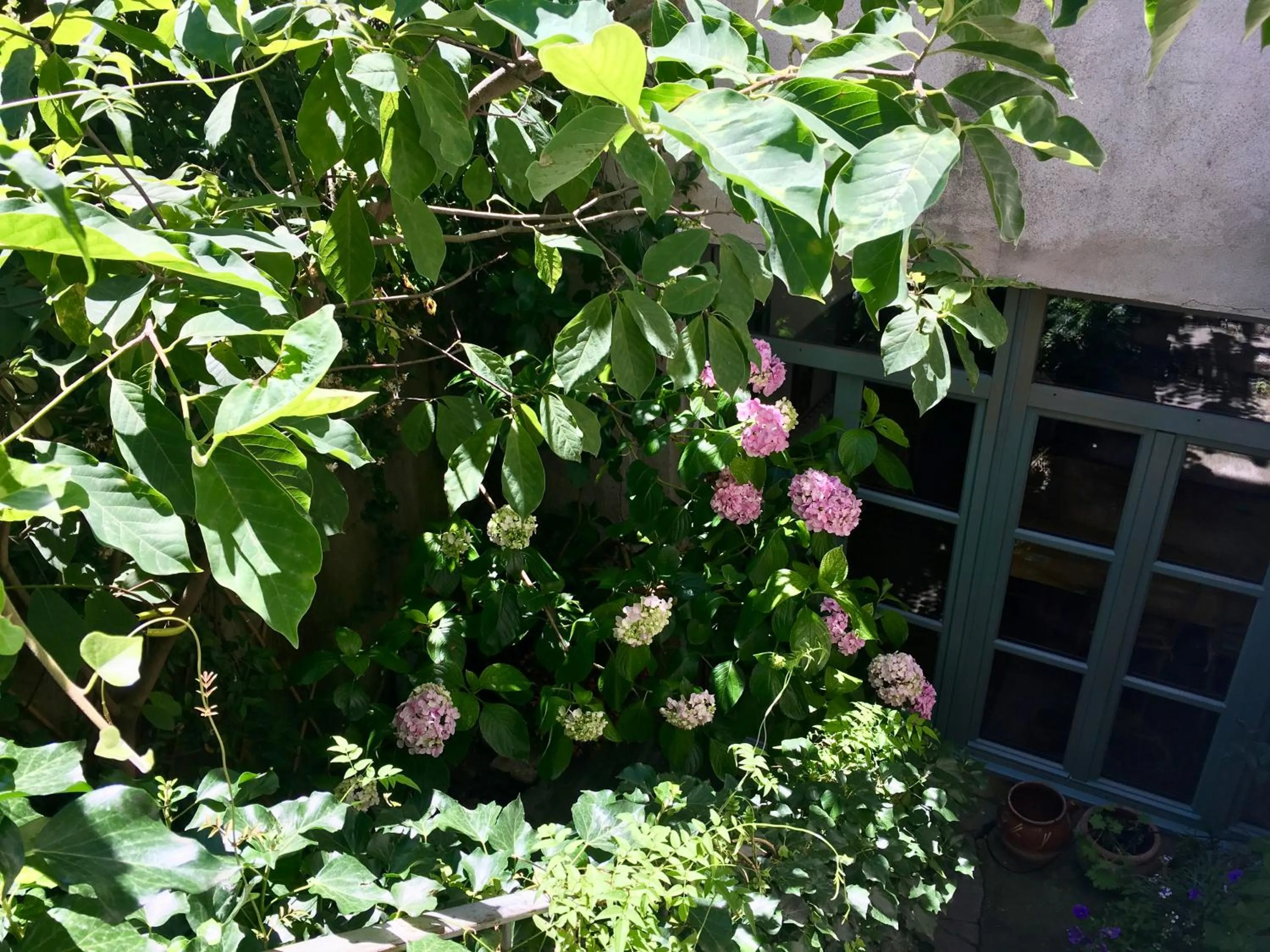 Garden in Les Asphodèles Amélie