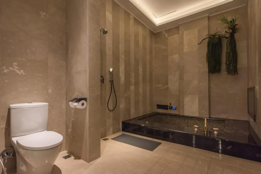 Shower in Green Palm Motel