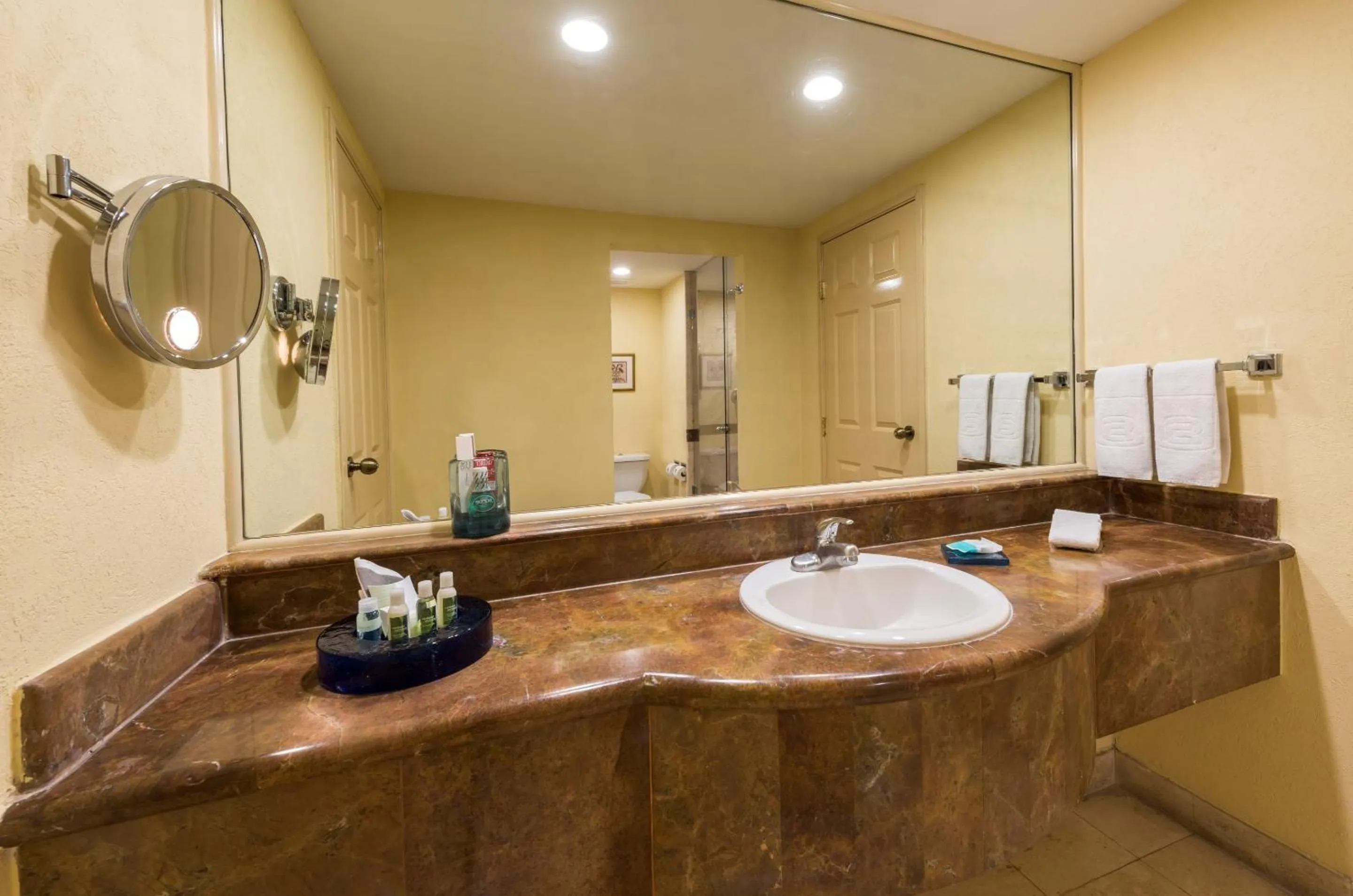 Bathroom in Camino Real Puebla Angelopolis