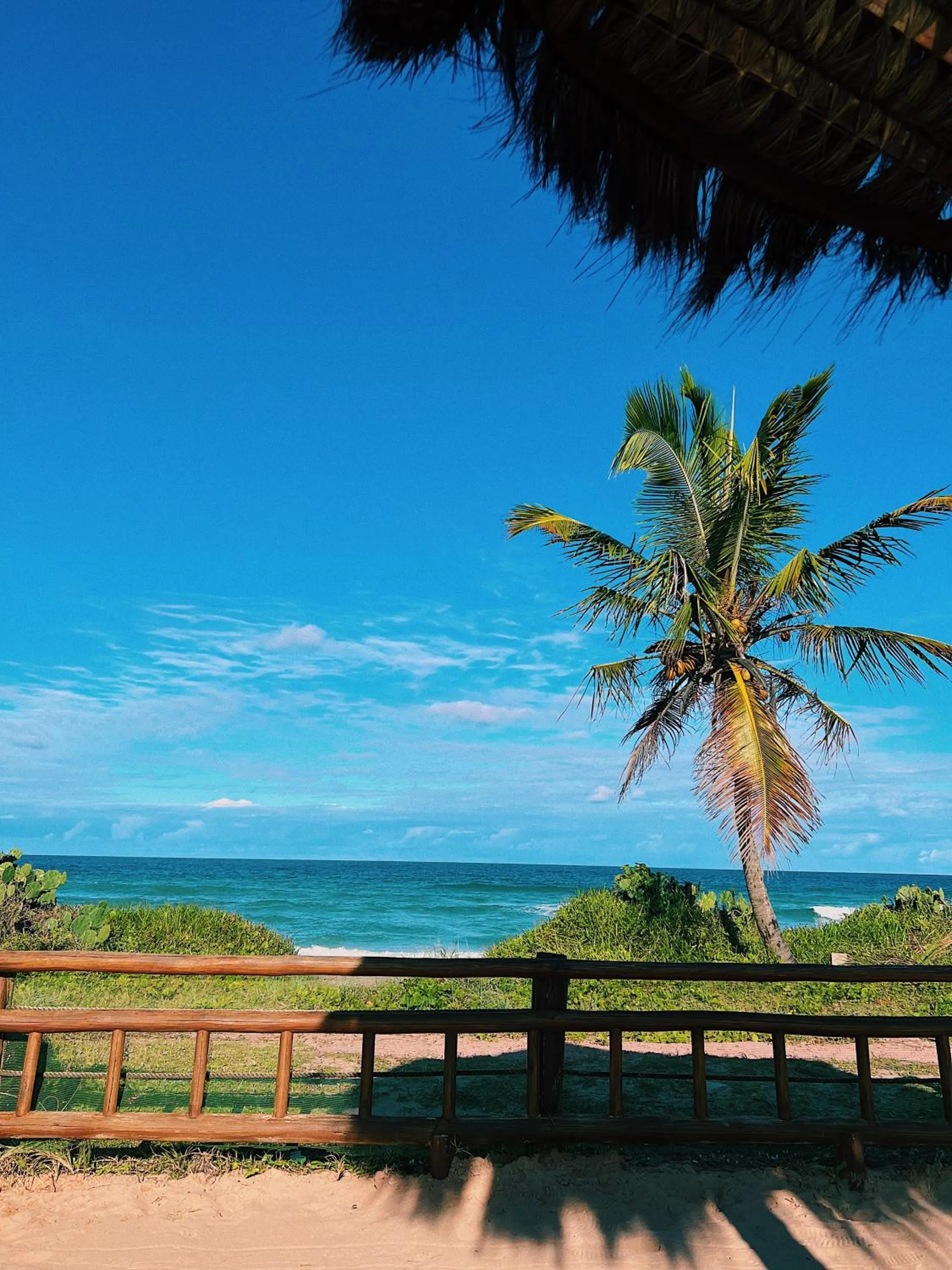 Natural landscape in Enotel Porto de Galinhas All Inclusive