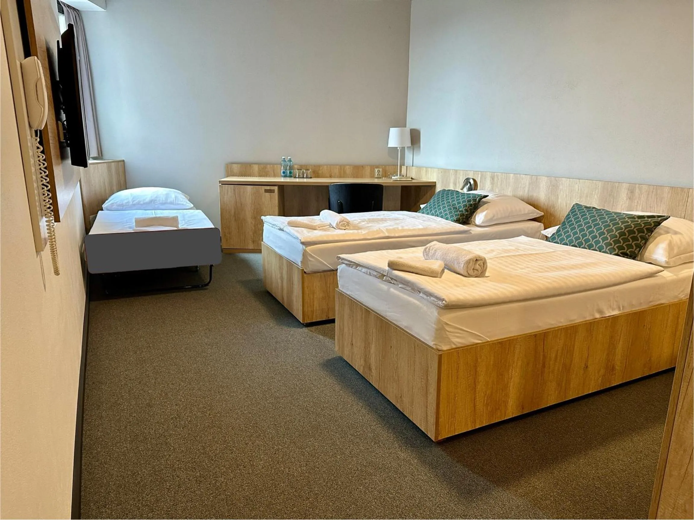 Economy Triple Room in Hotel D1