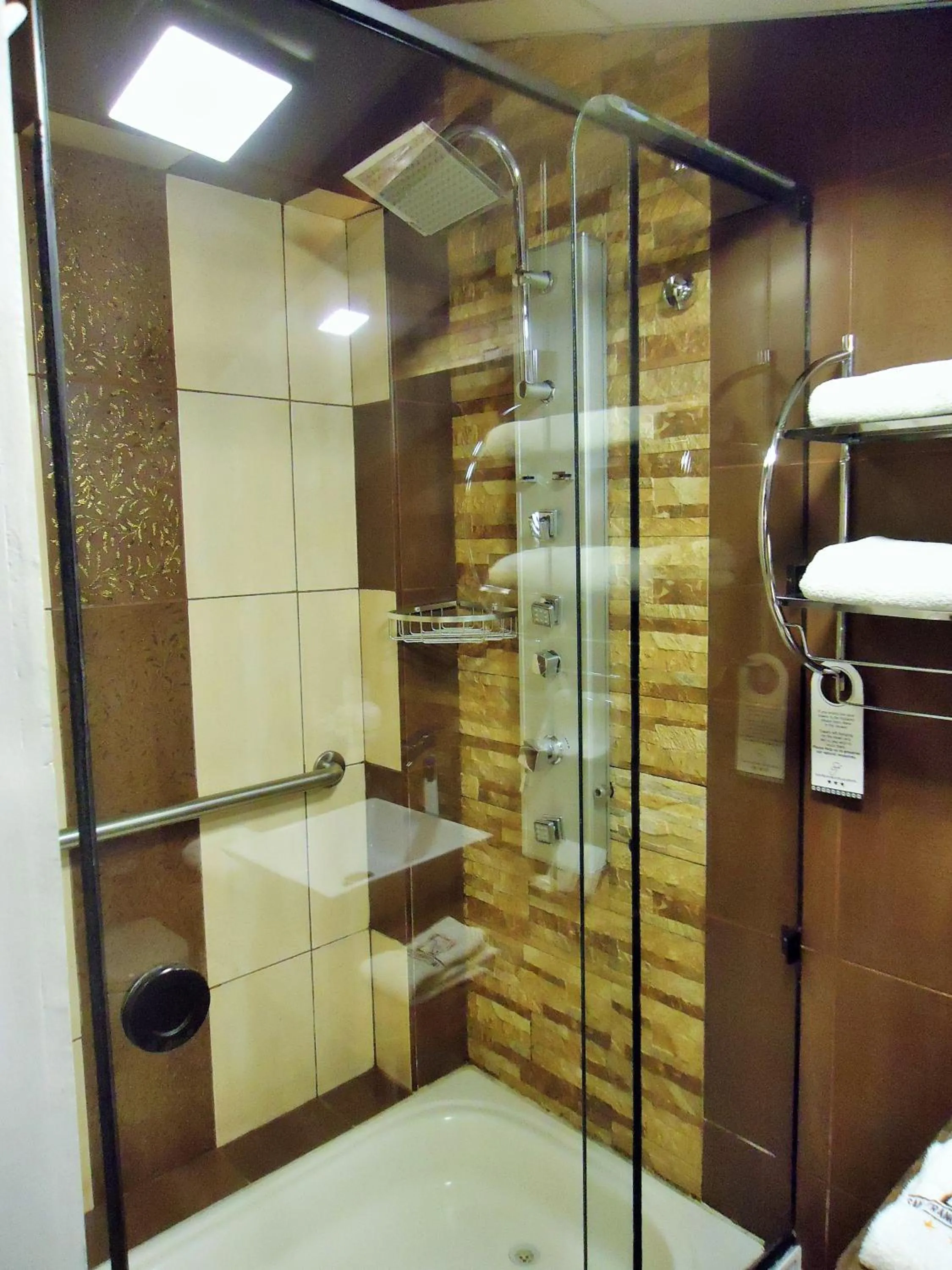 Bathroom in Hotel San Francisco Plaza