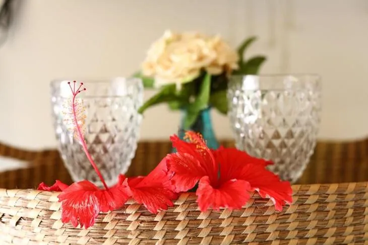 Pousada Ilha do Frade