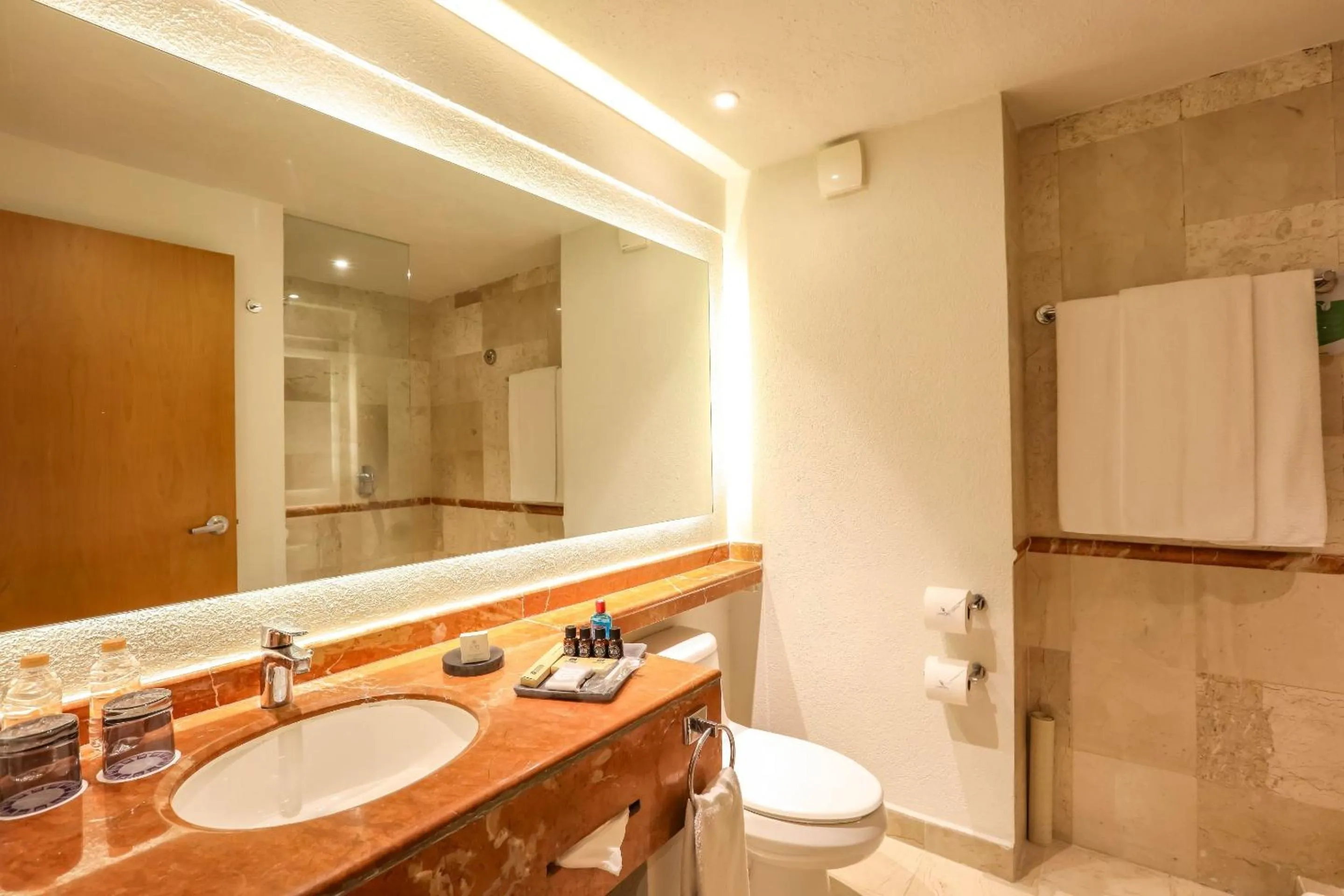 Bathroom in Camino Real Veracruz