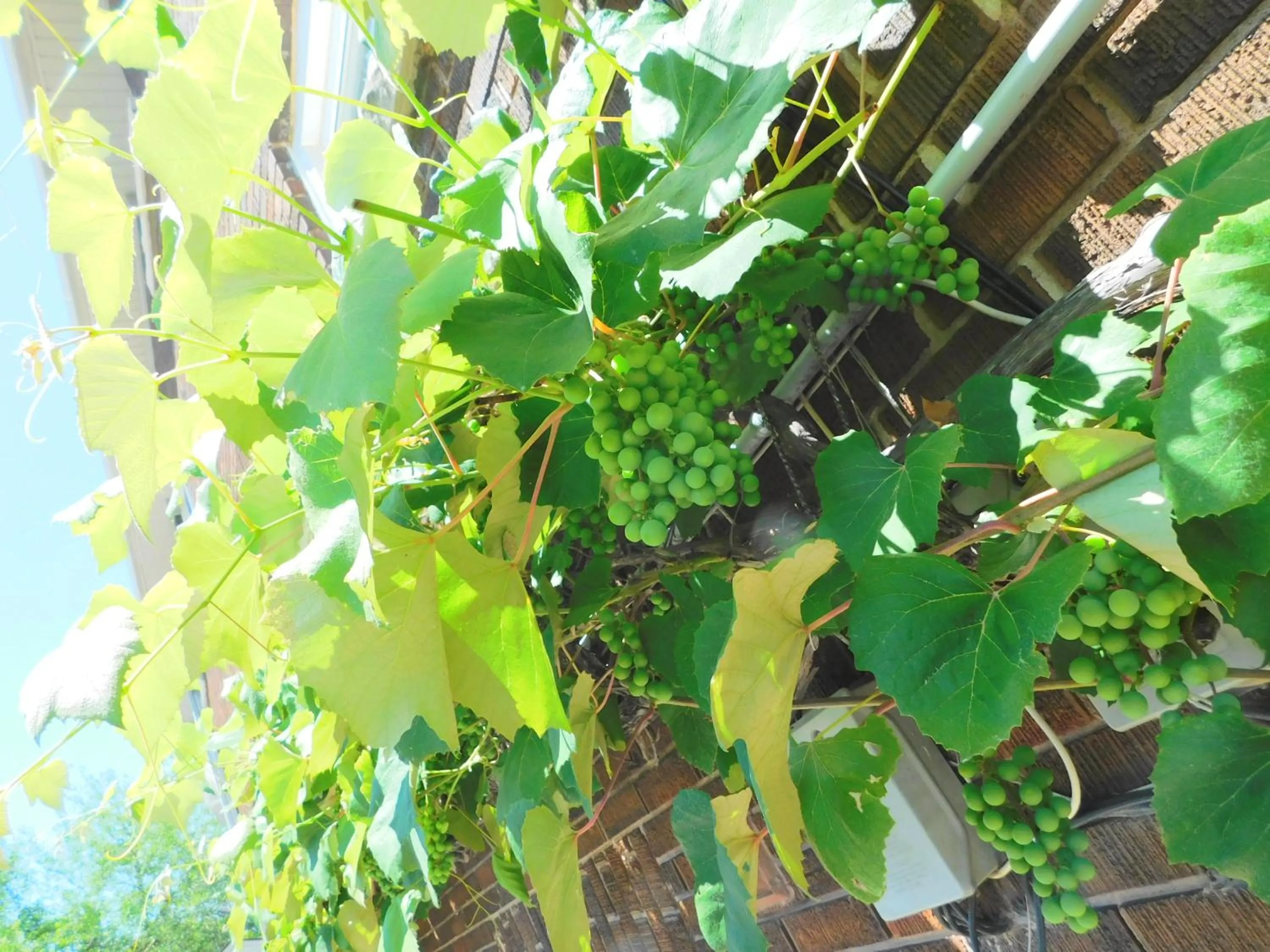 Rainbow Bed & Breakfast