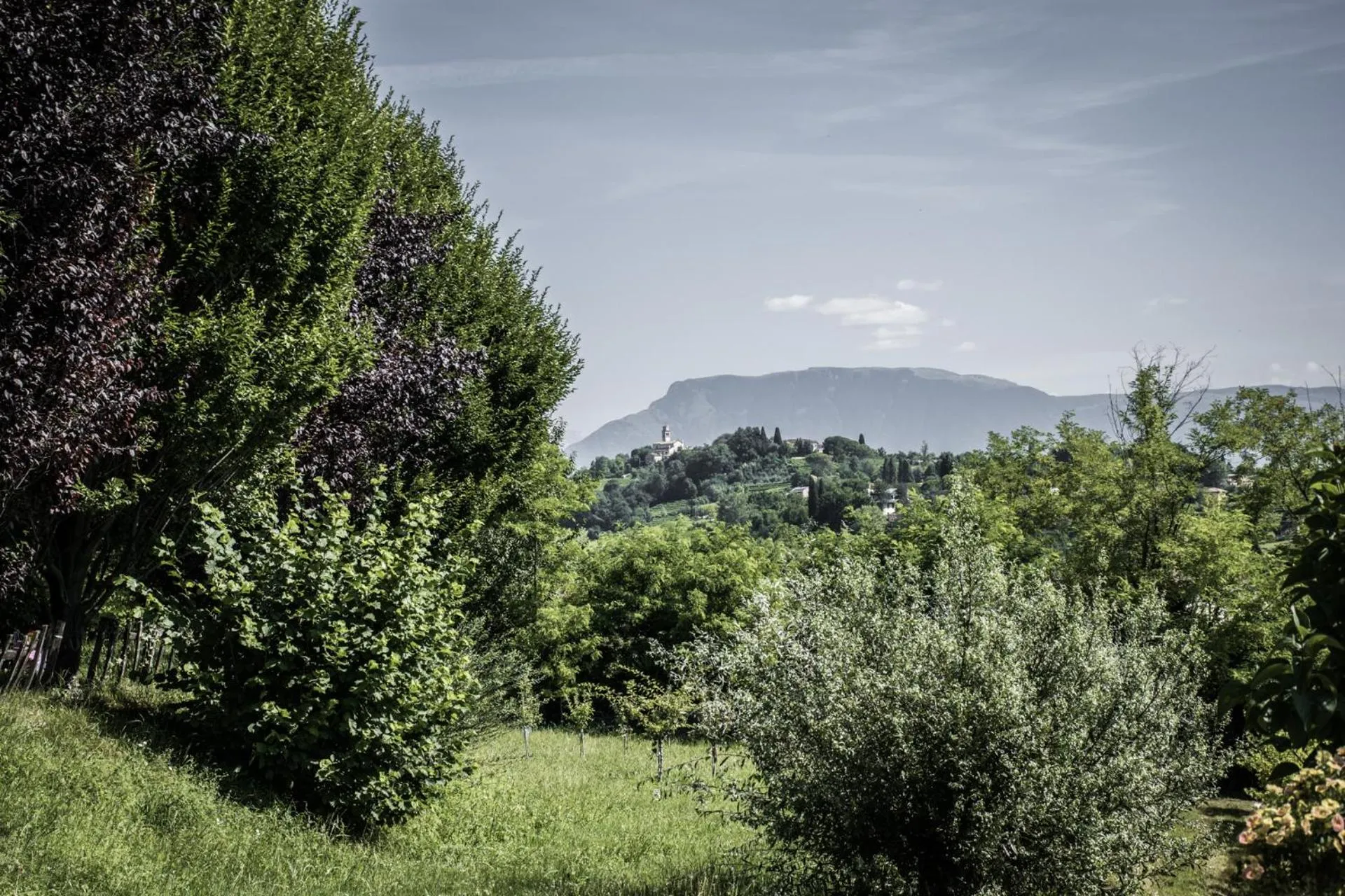 Property building in Terre Boscaratto