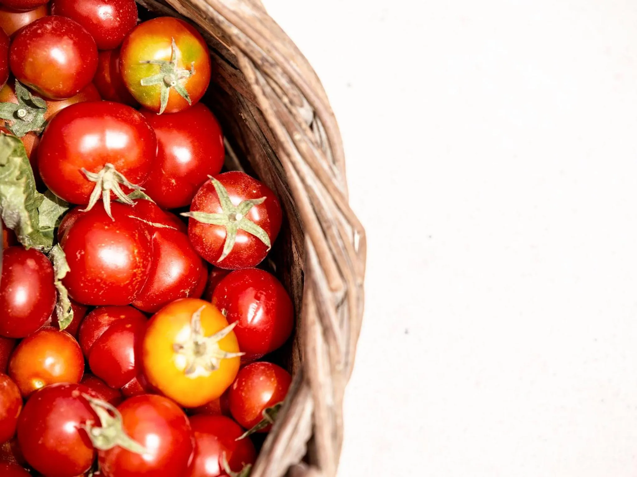 Decorative detail in Limestone