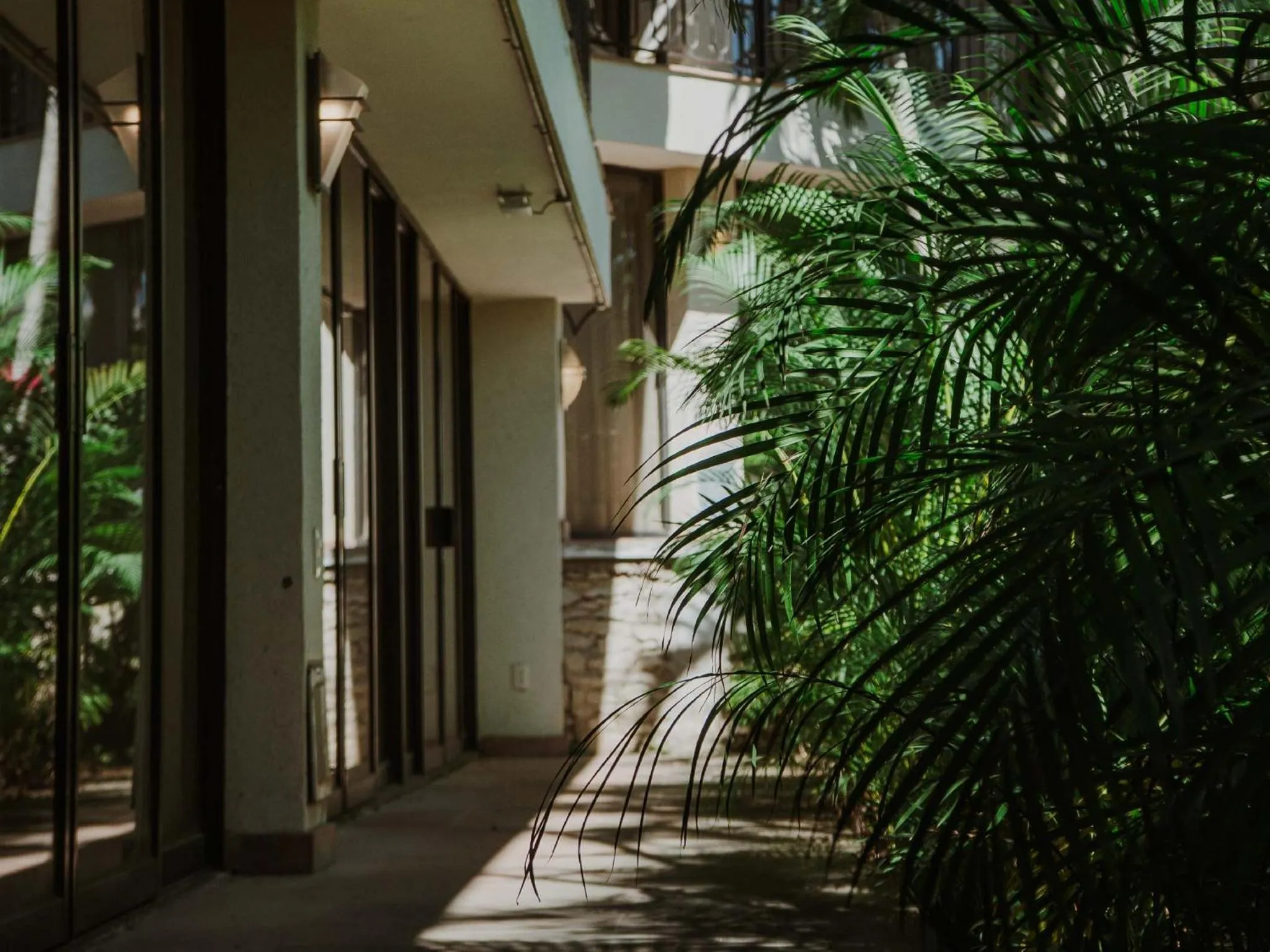 Spring in HS HOTSSON Hotel Tampico