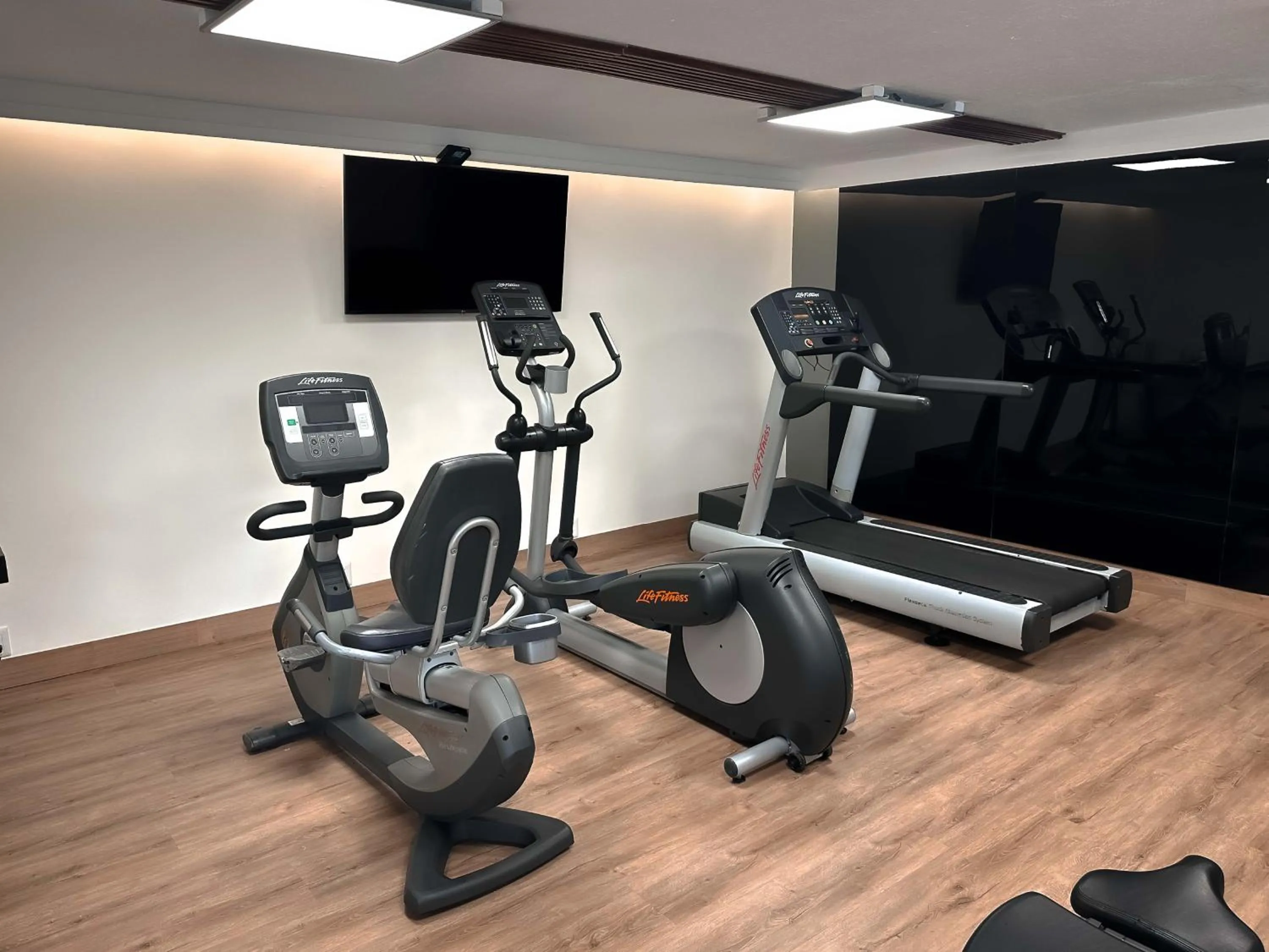 Fitness centre/facilities in HS HOTSSON Hotel Tampico