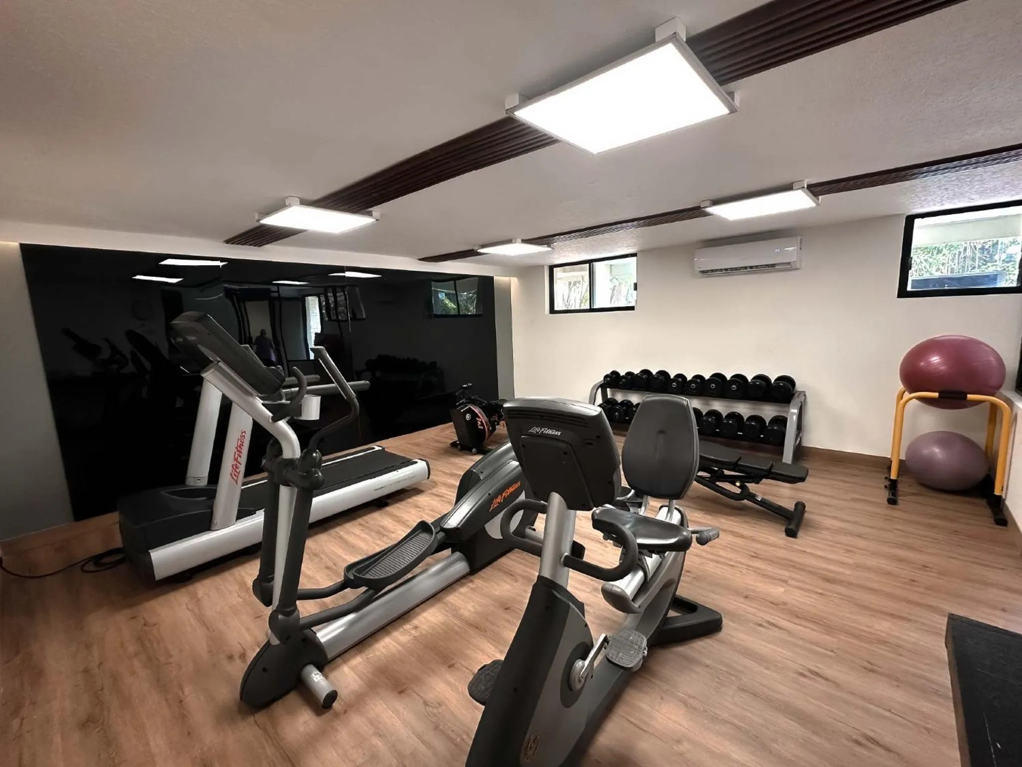 Fitness centre/facilities in HS HOTSSON Hotel Tampico