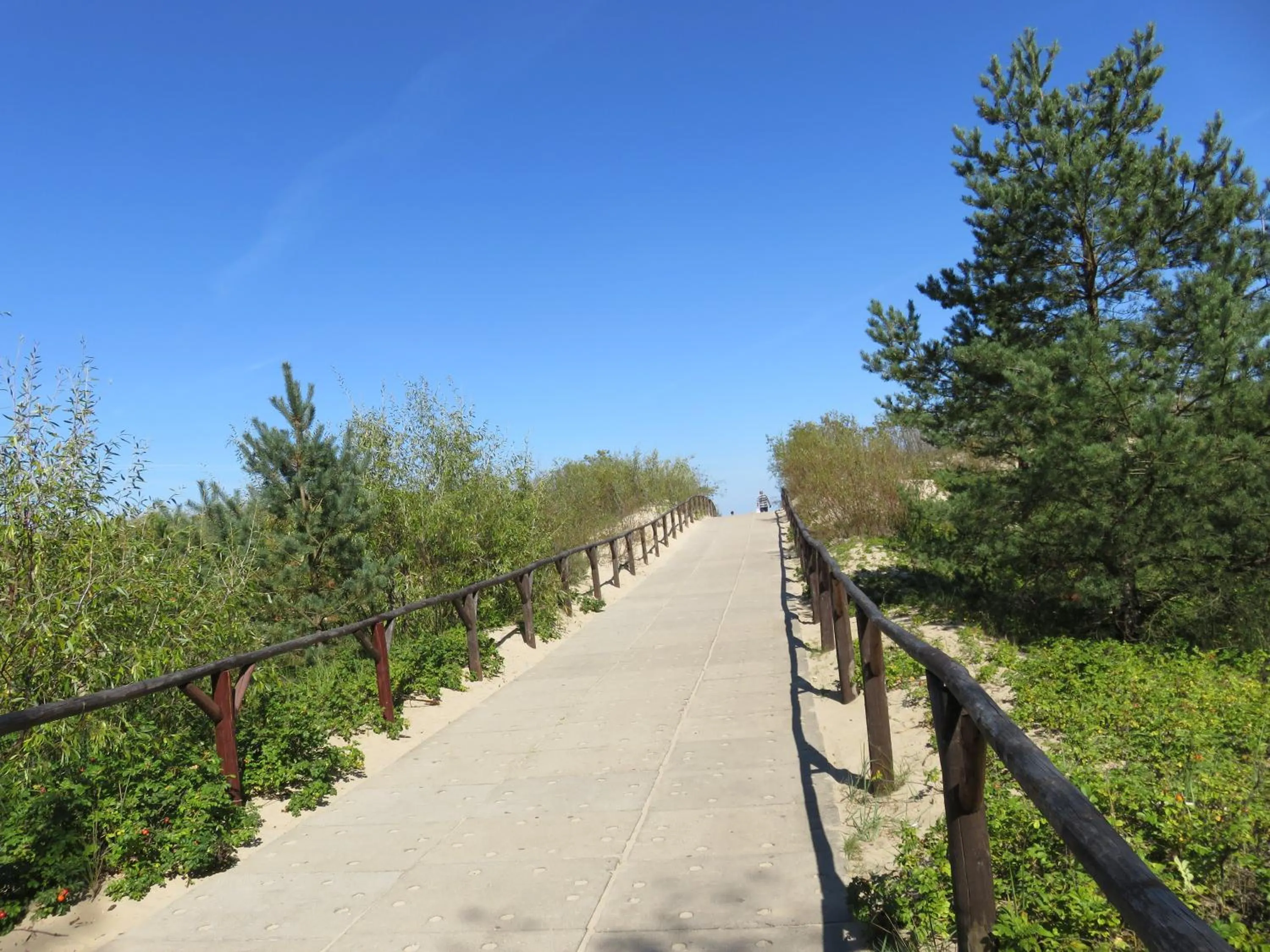 Off site in FALA na WYSPIE