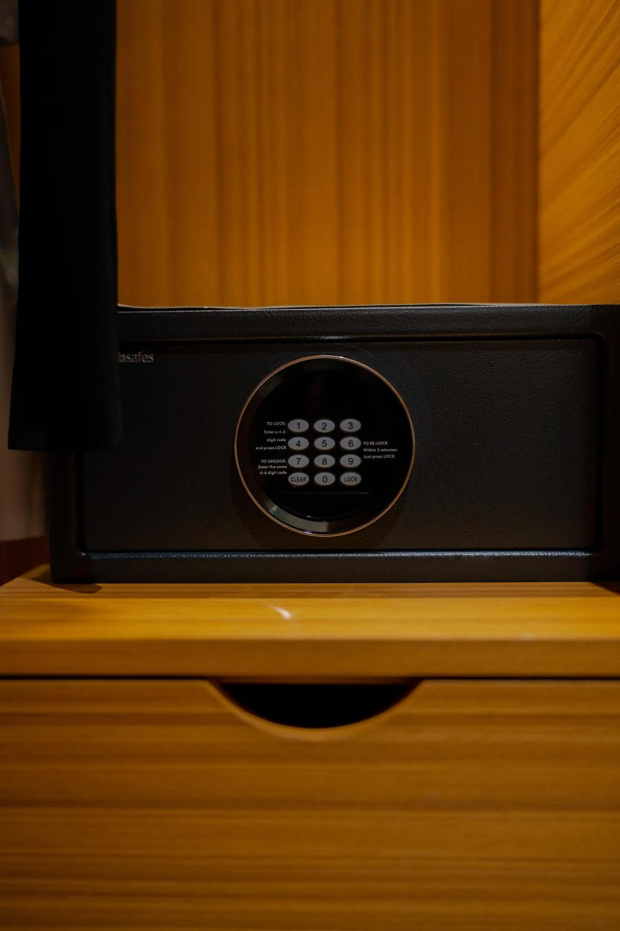 safe in Horizon Hotel