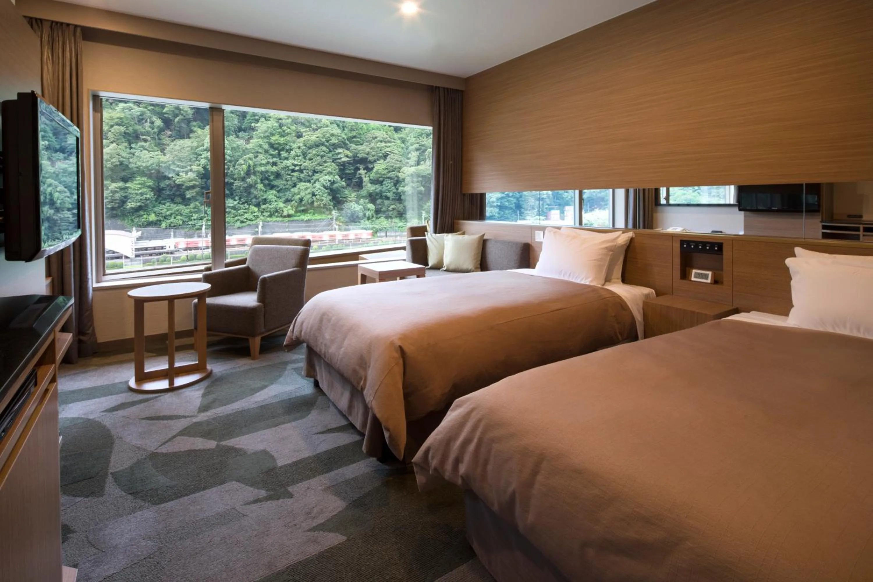 【Rainbow Plaza】Twin Room - single occupancy - Non-Smoking (River side good view) in Yumoto Fujiya Hotel