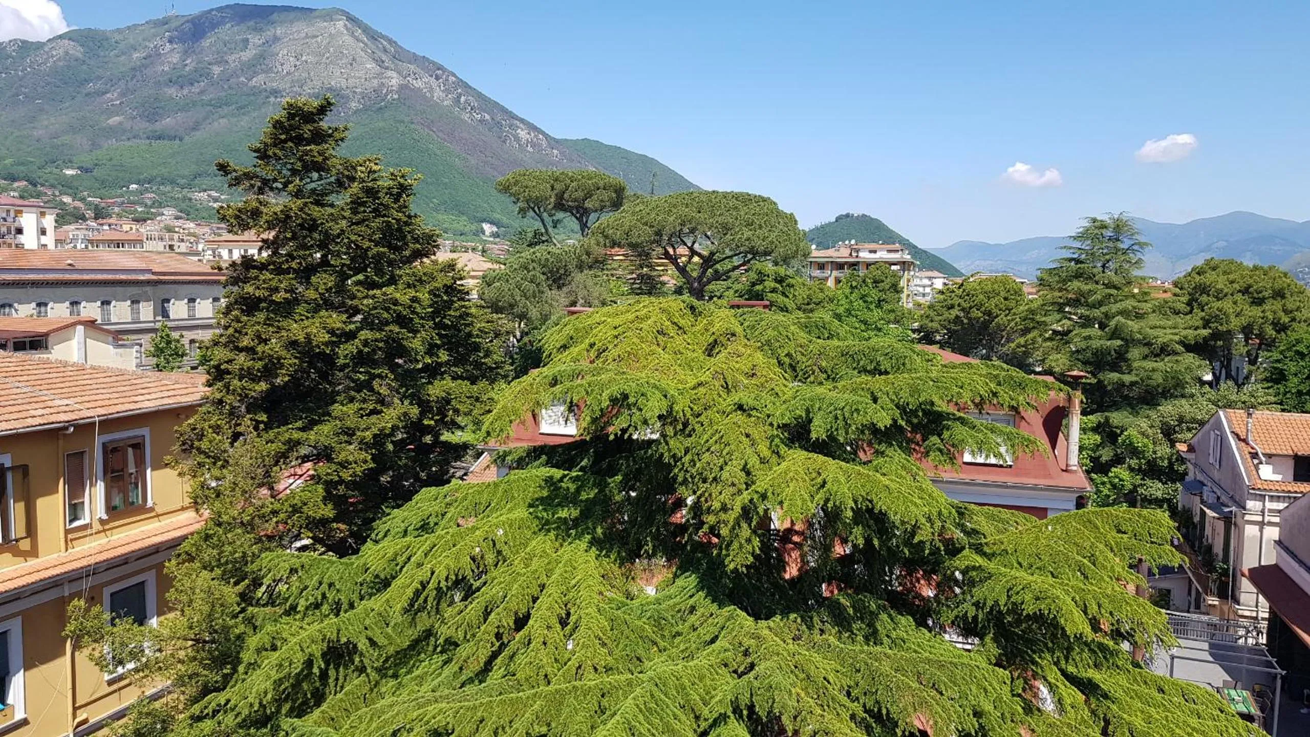 Garden view in B&B IL CEDRO